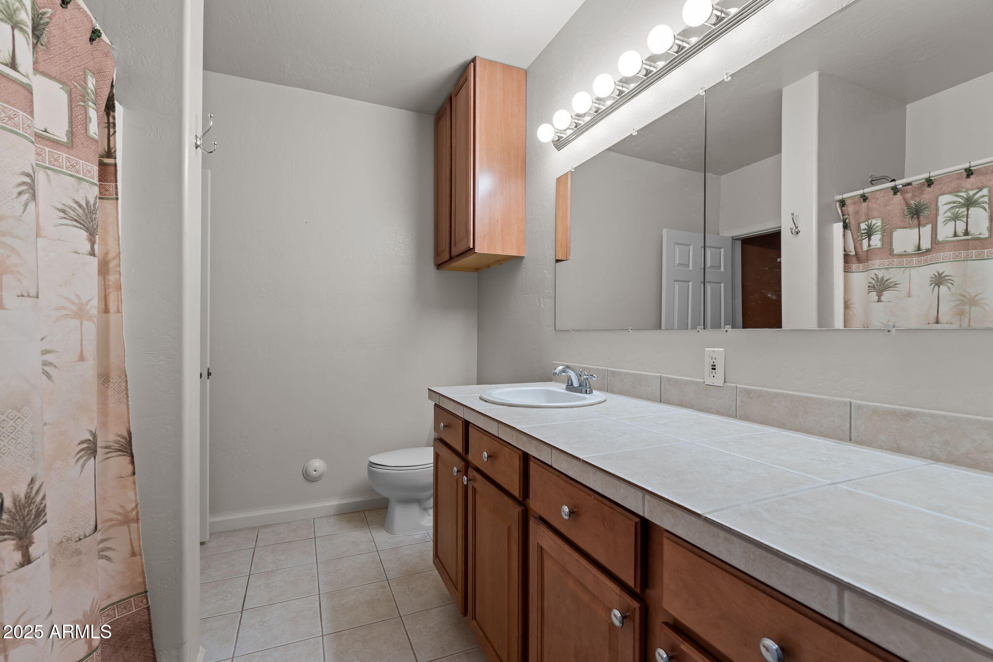 45327 SAN DOMINGO PEAK Trail