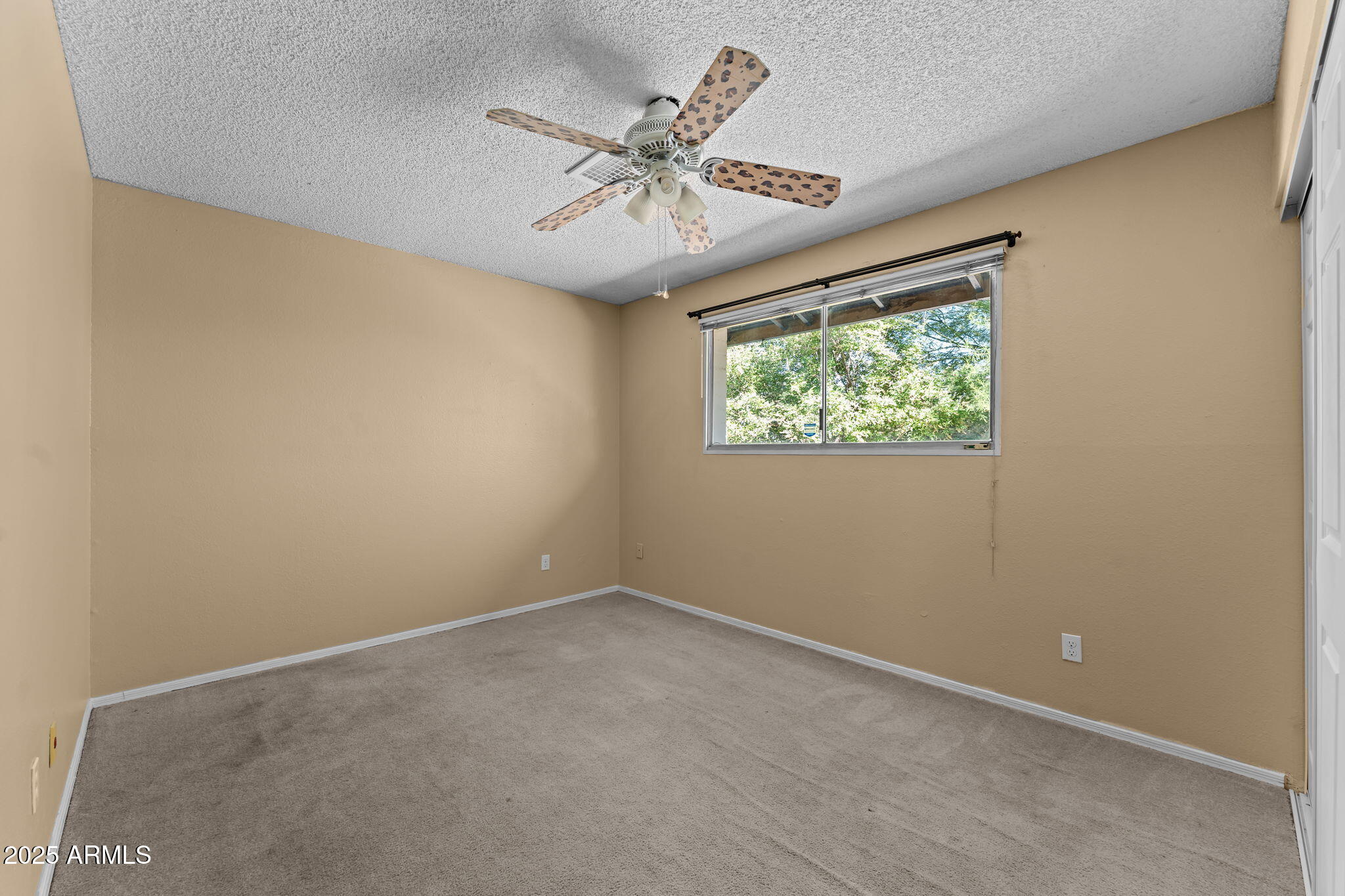 5244 W WALTANN Lane
