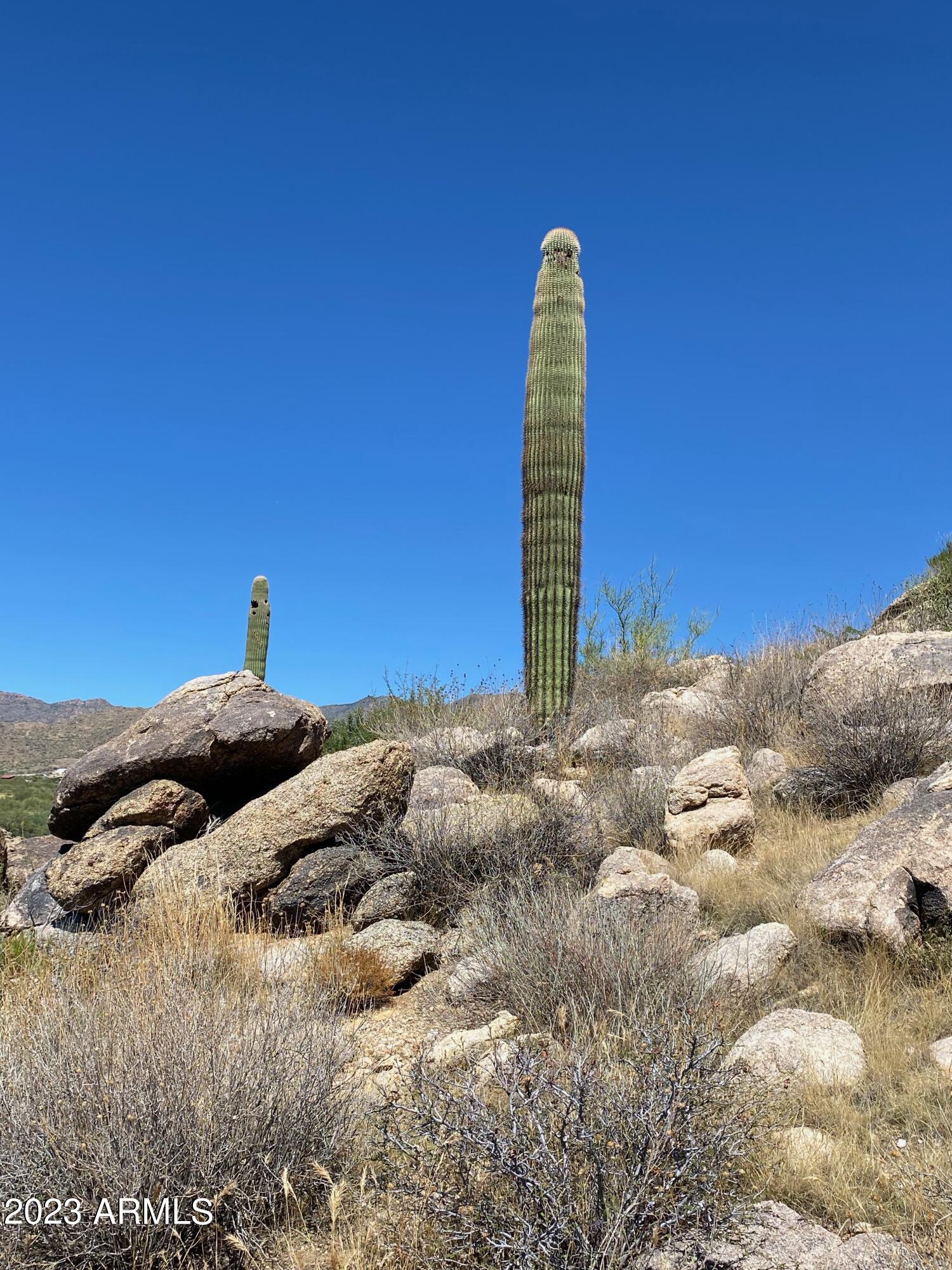 23325 W Gold Dollar Trail -