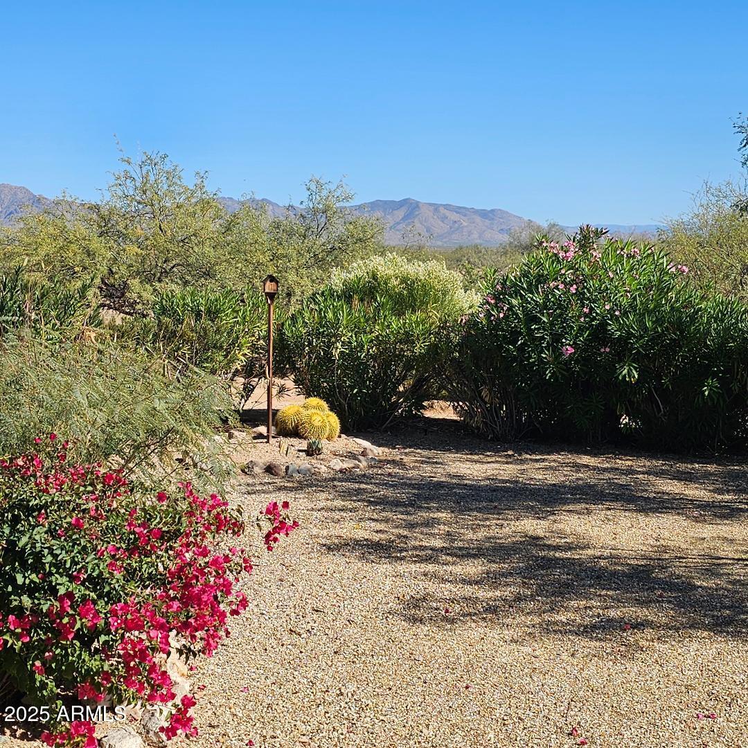 30823 S VAGABOND Trail