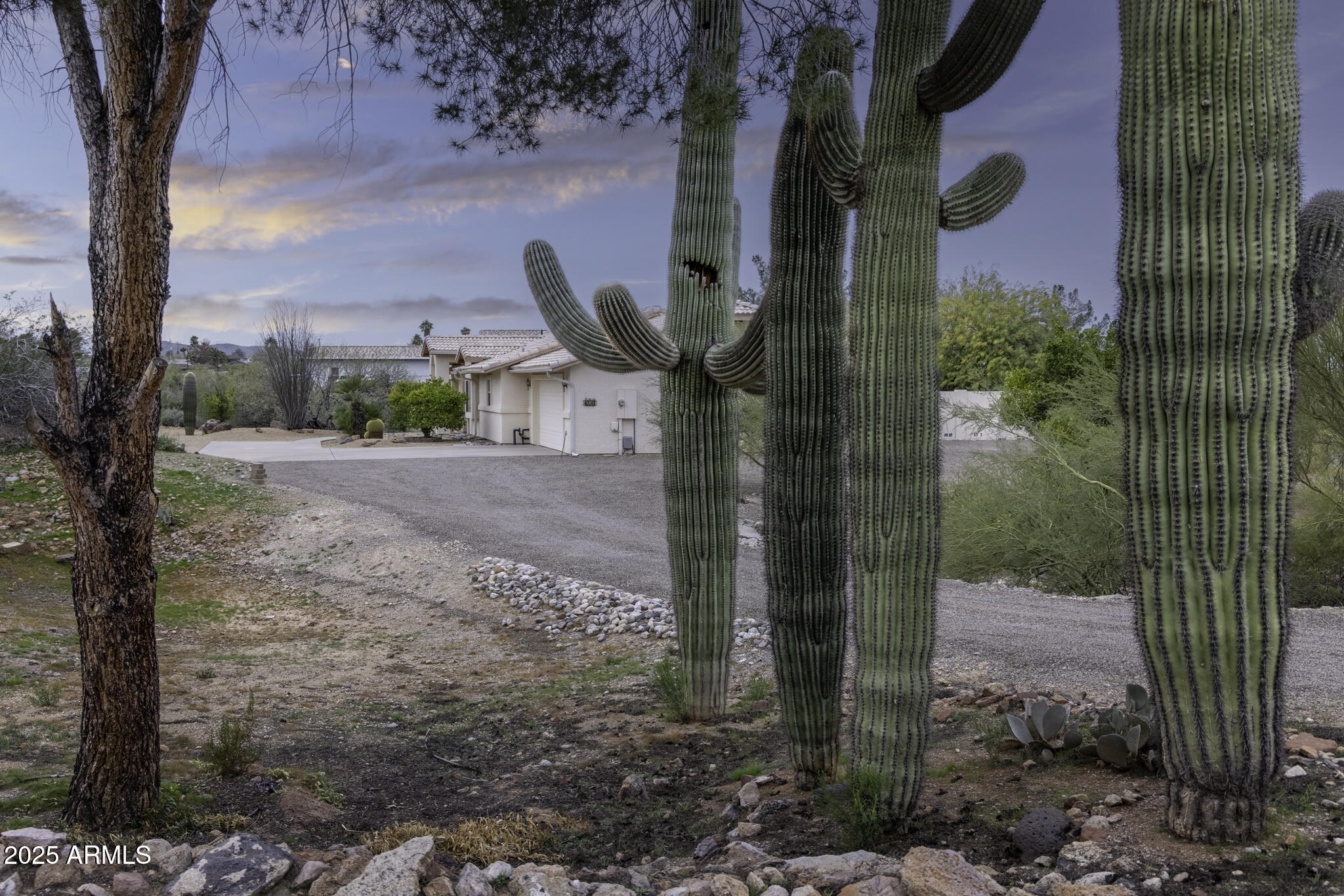 650 FALCON Drive