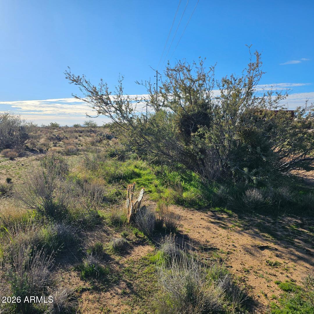 22150 W MIRA VISTA 63