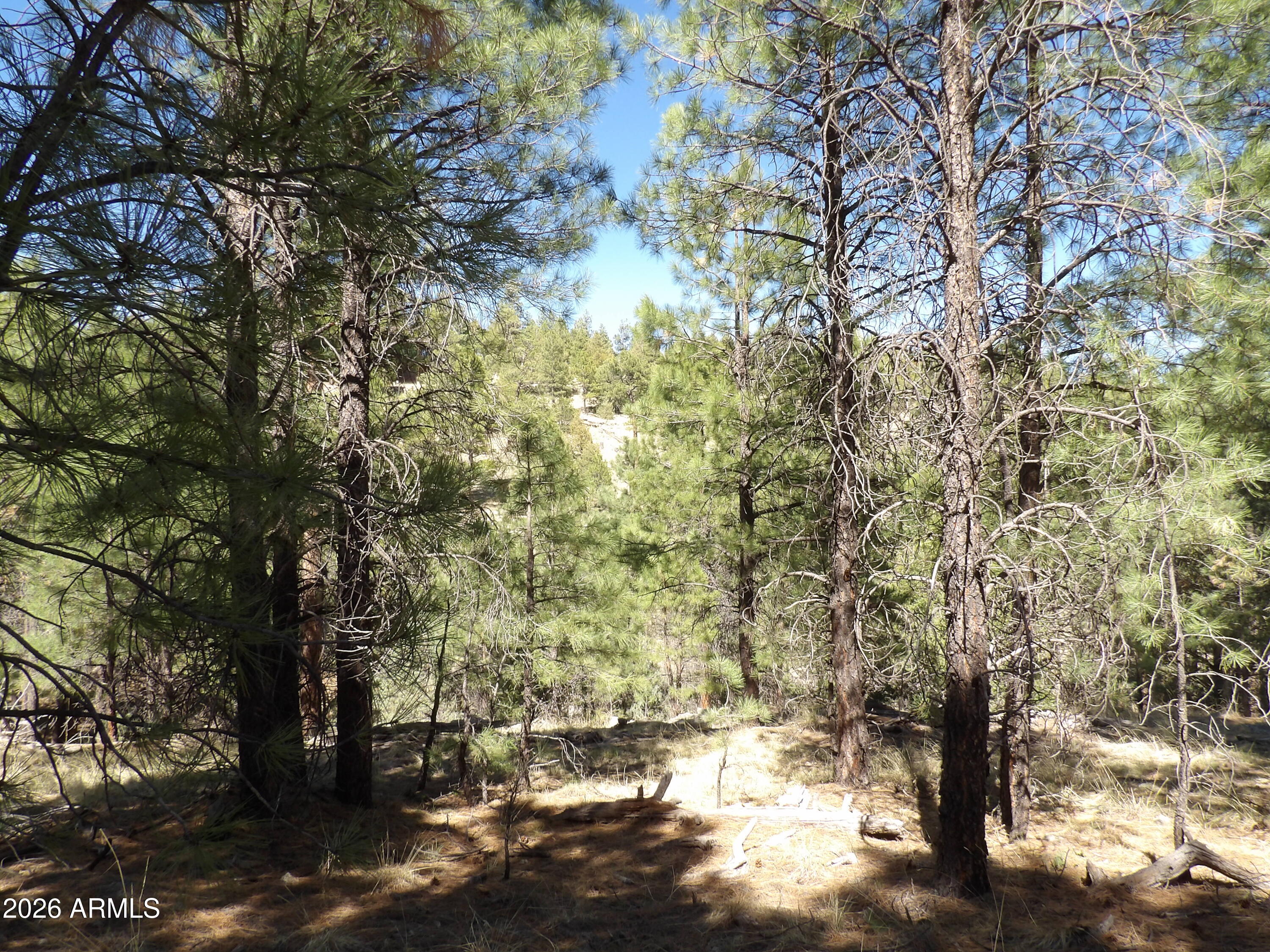 1601 MOQUI Drive 77