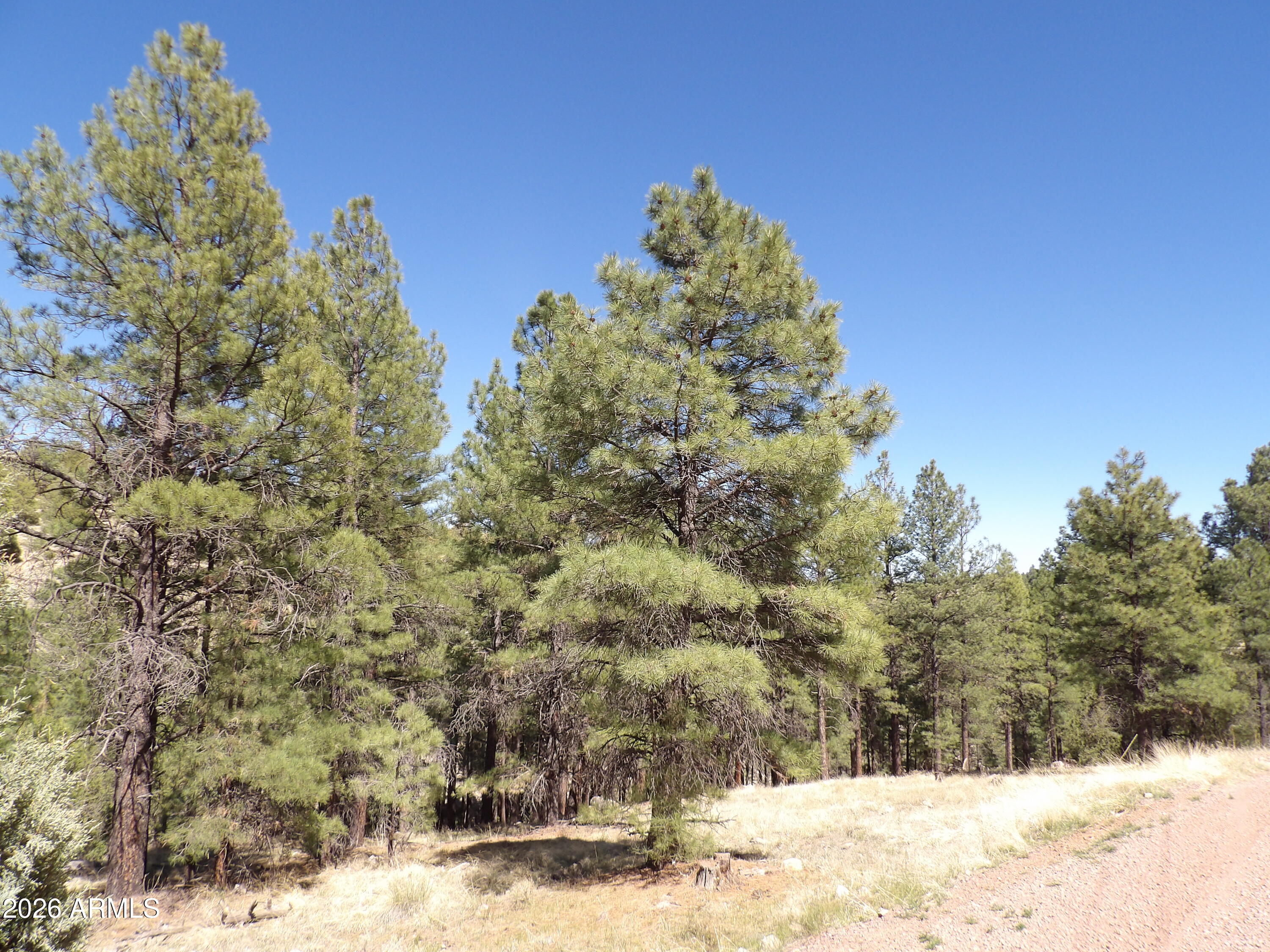 1601 MOQUI Drive 77