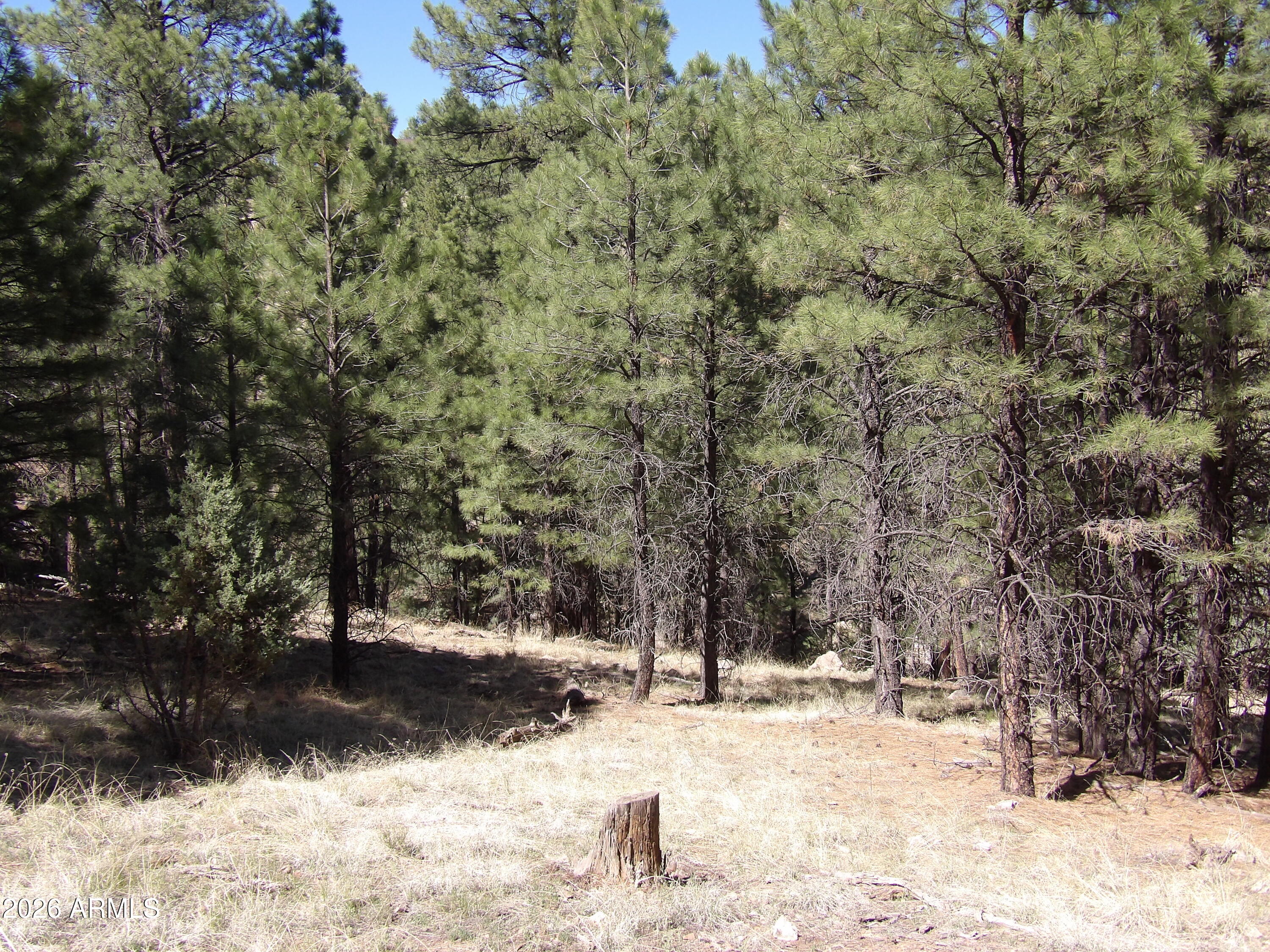 1601 MOQUI Drive 77