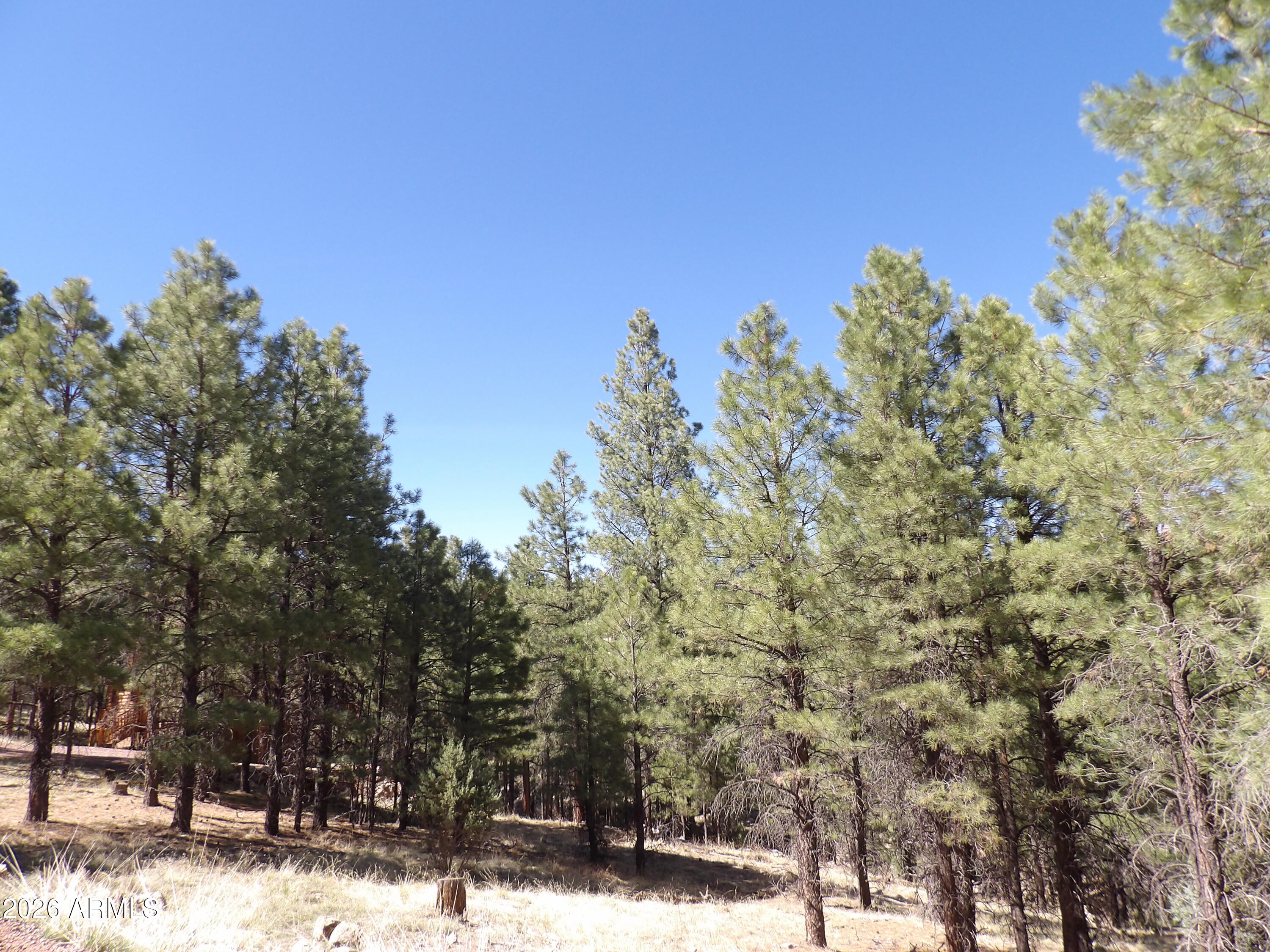 1601 MOQUI Drive 77