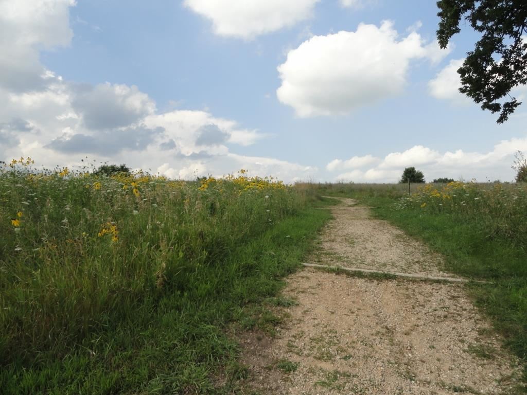 1549 Meister Lane