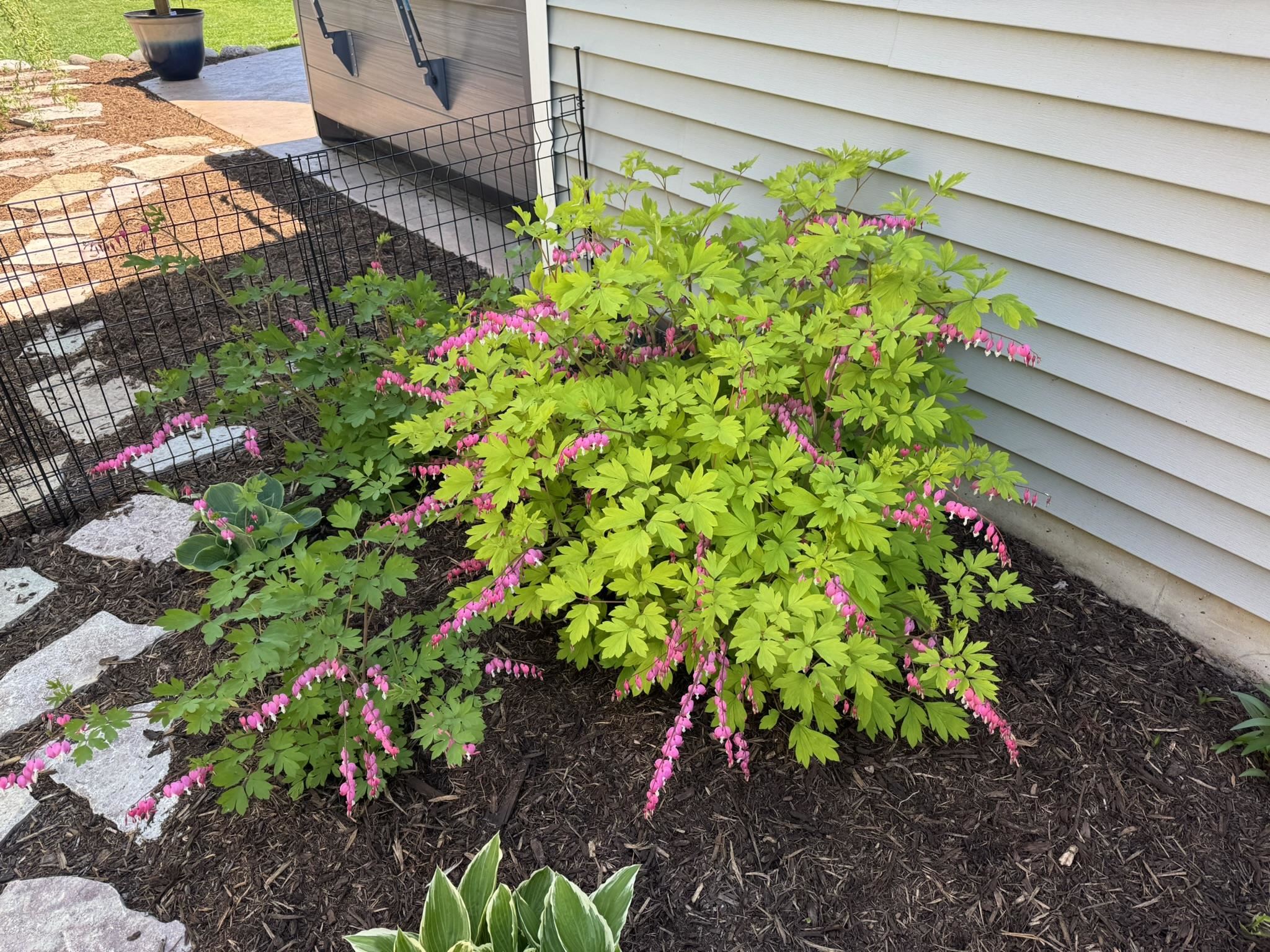 601 White Tail Drive