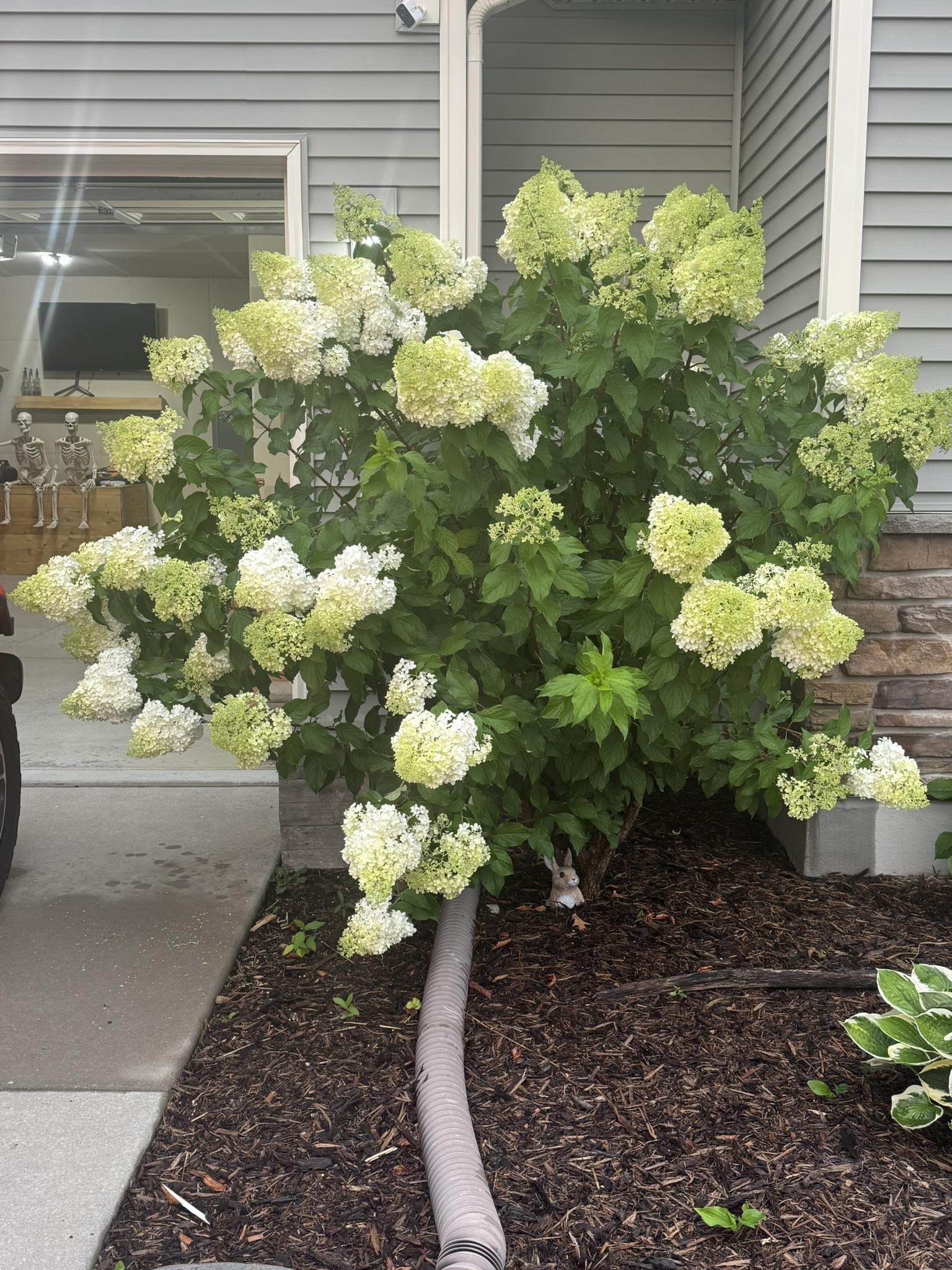 601 White Tail Drive