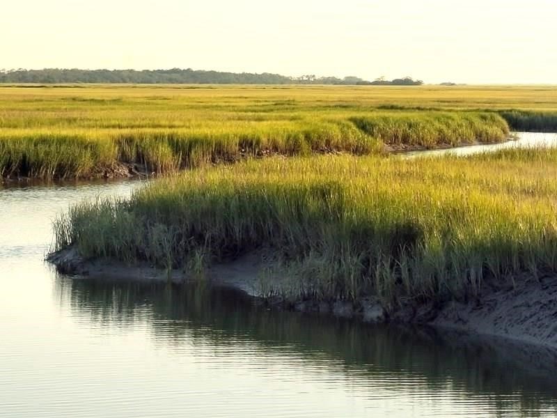331 Brockinton Marsh