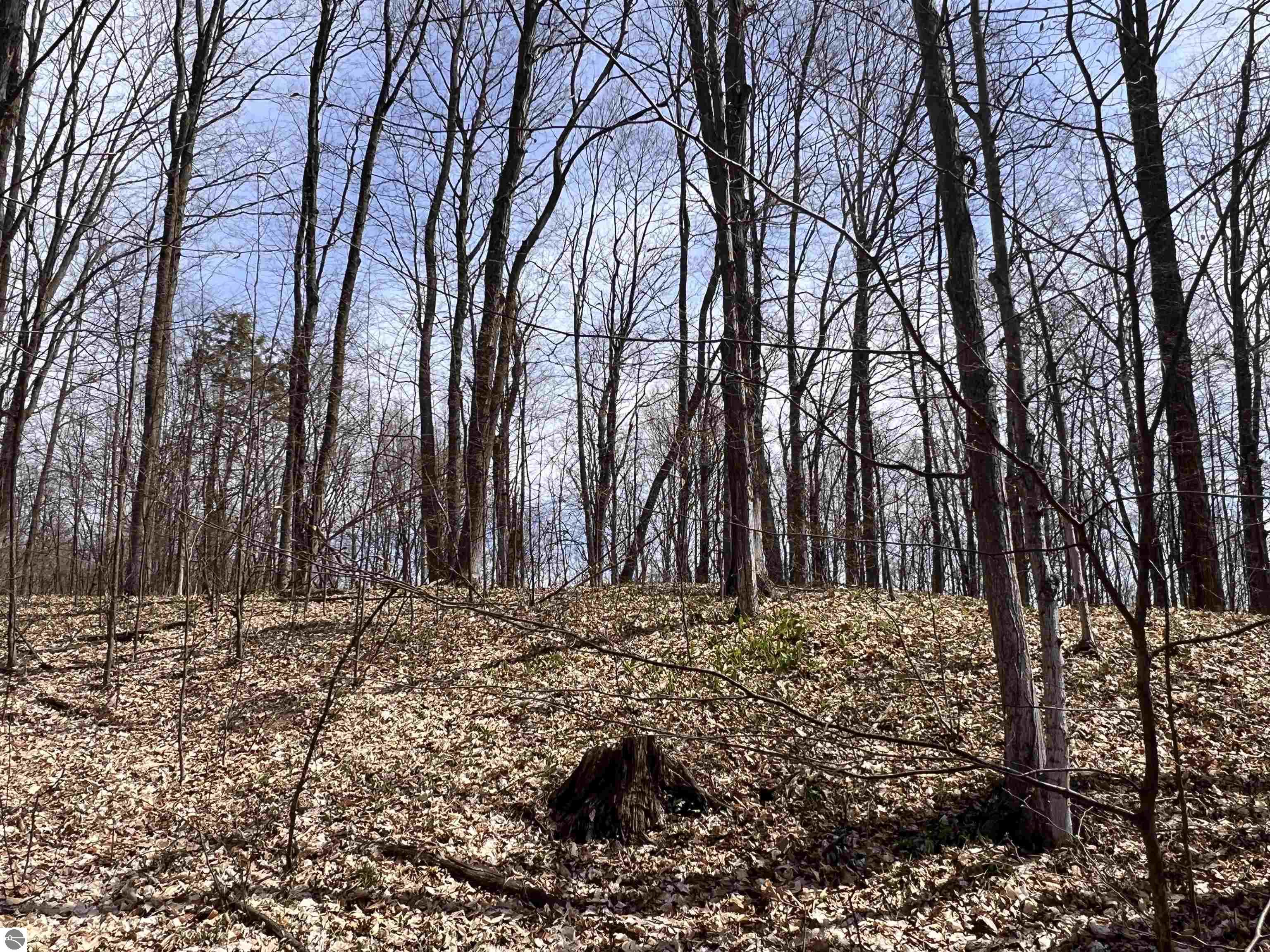 0 S Maple Valley Road