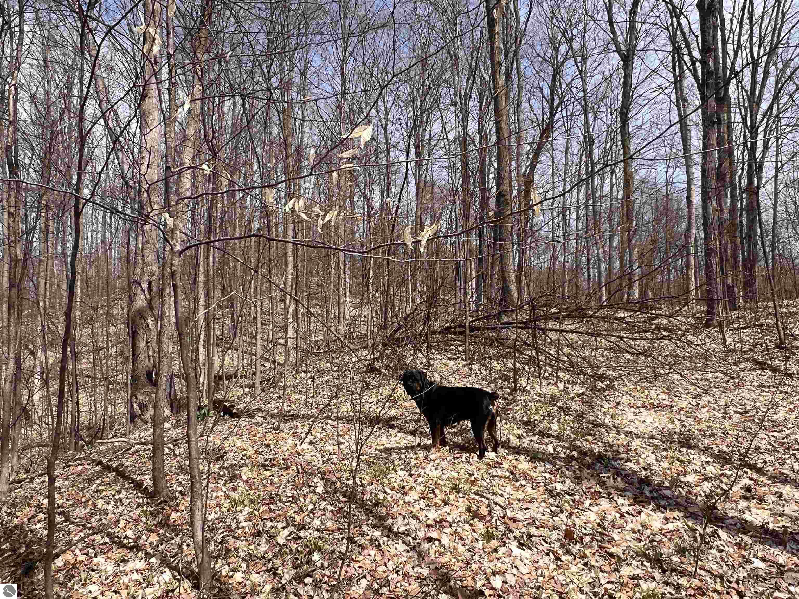 0 S Maple Valley Road