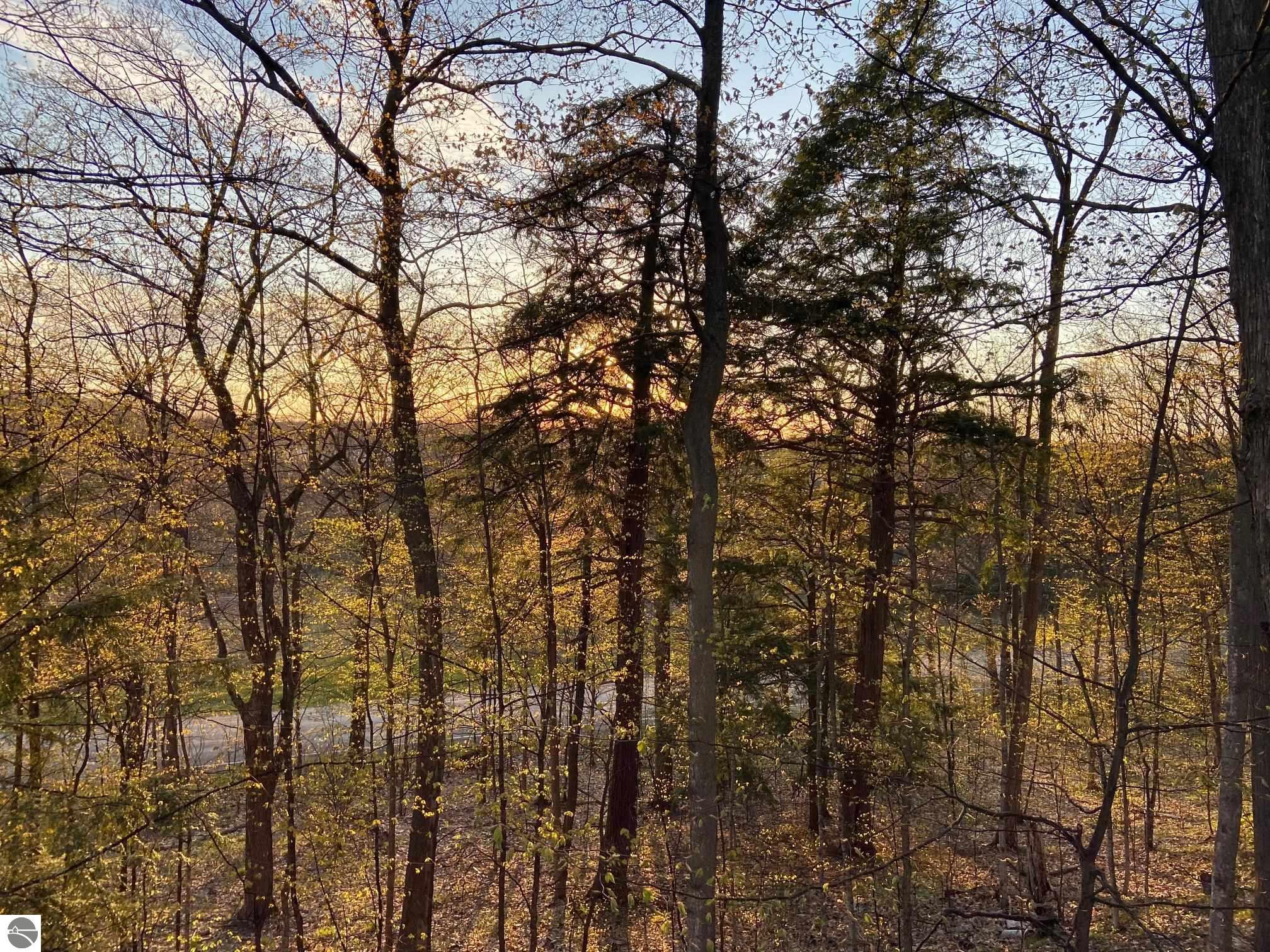 2205 N Birch Le Drive