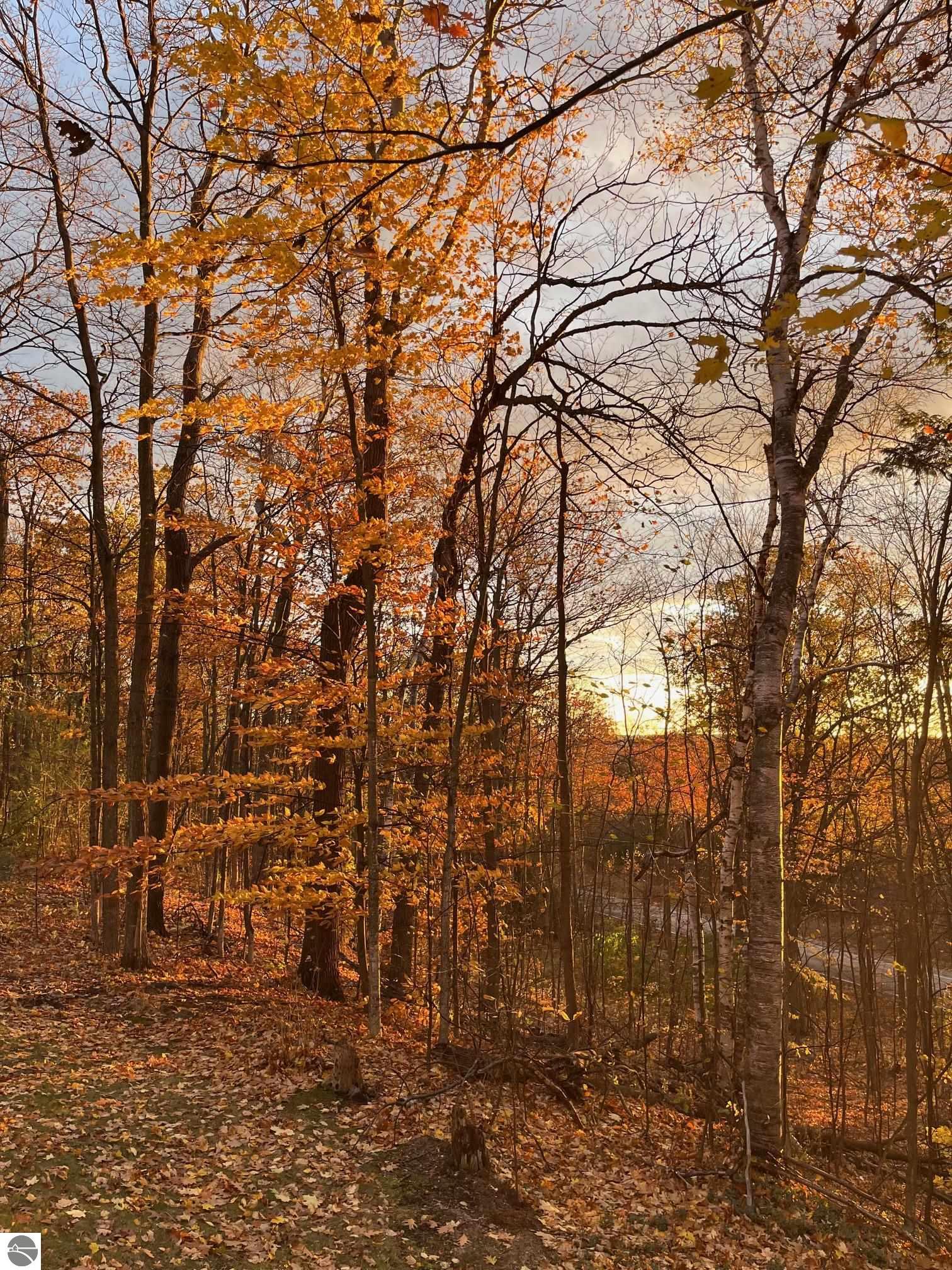 2205 N Birch Le Drive