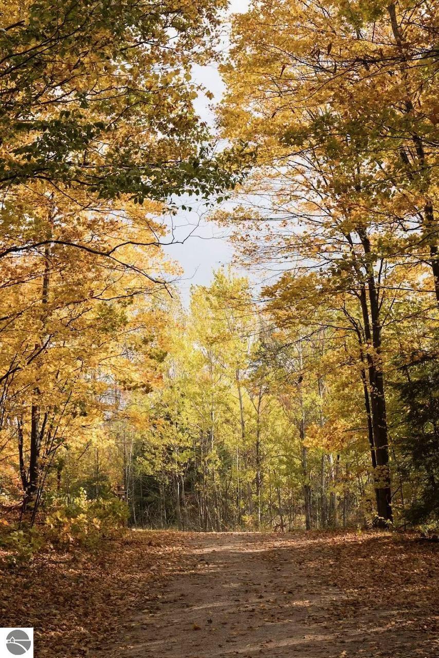 2205 N Birch Le Drive