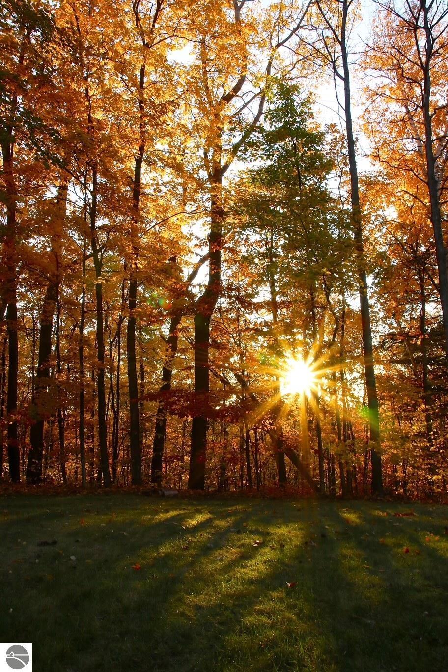 2205 N Birch Le Drive