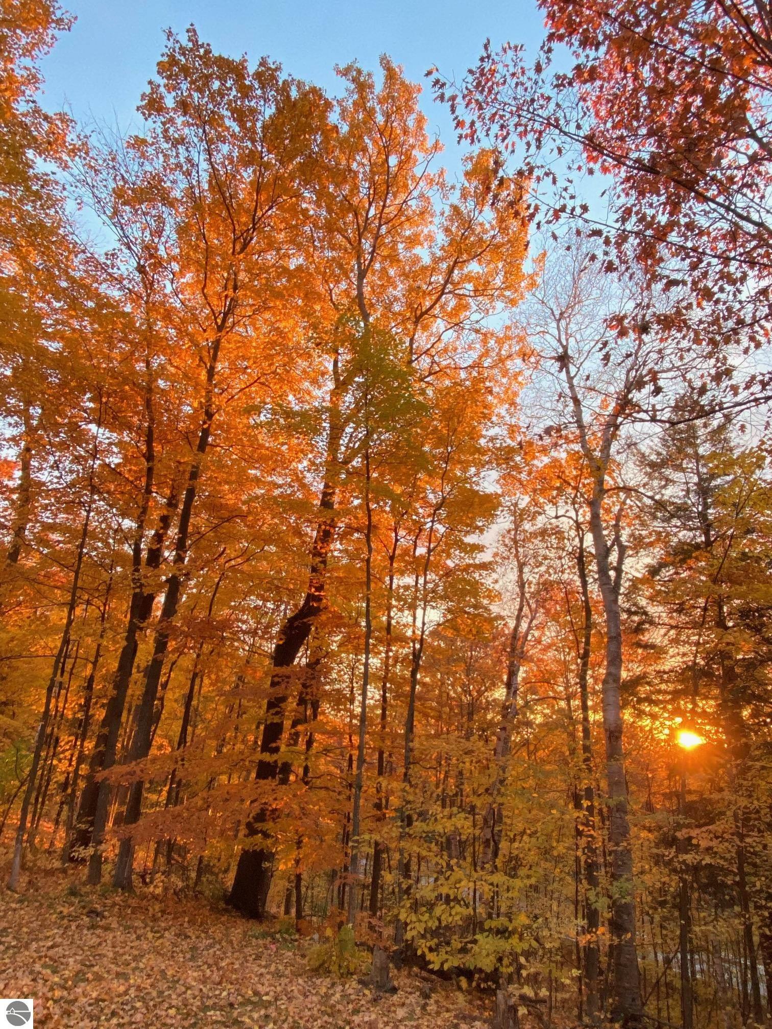 2205 N Birch Le Drive