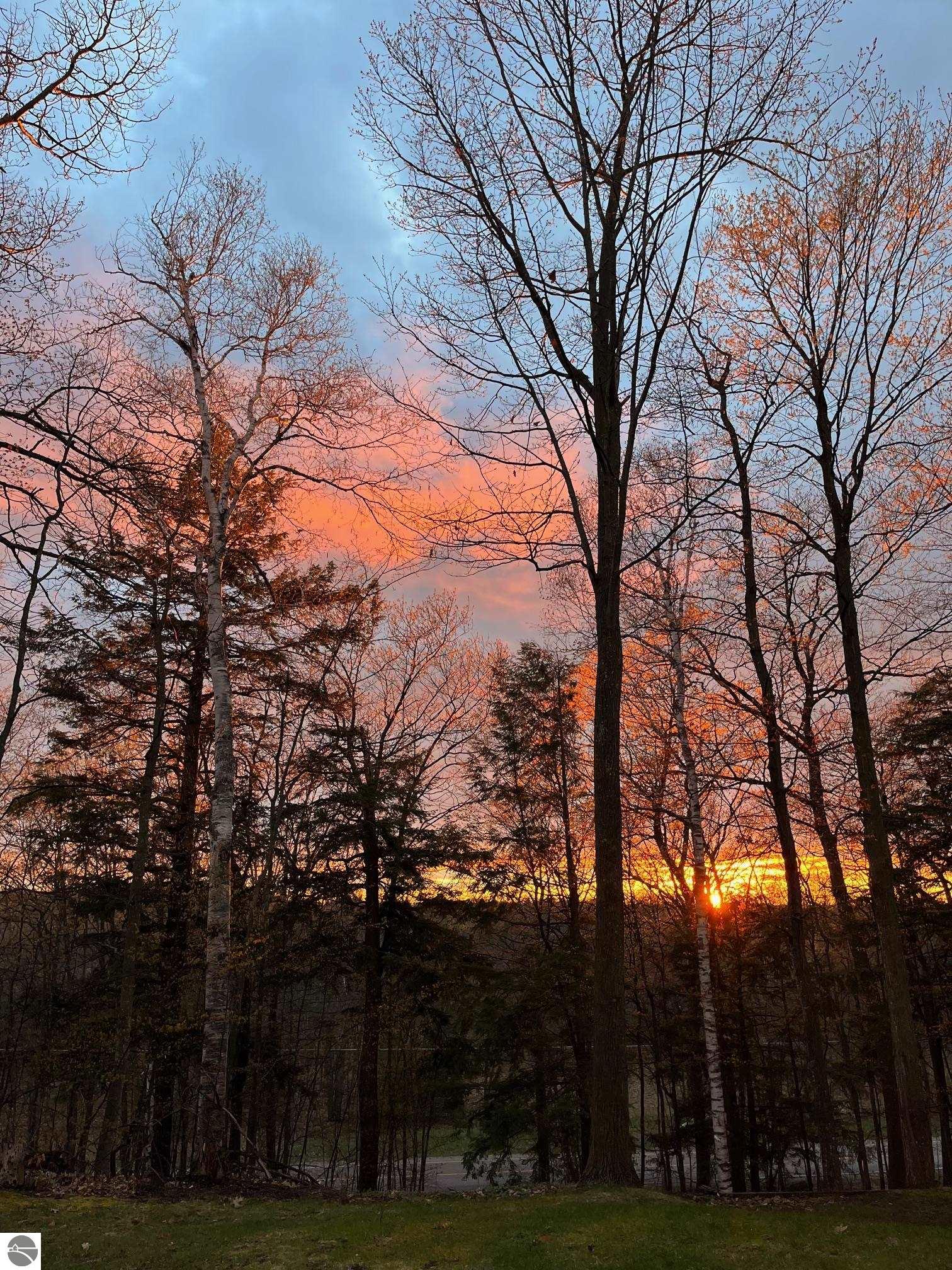 2205 N Birch Le Drive