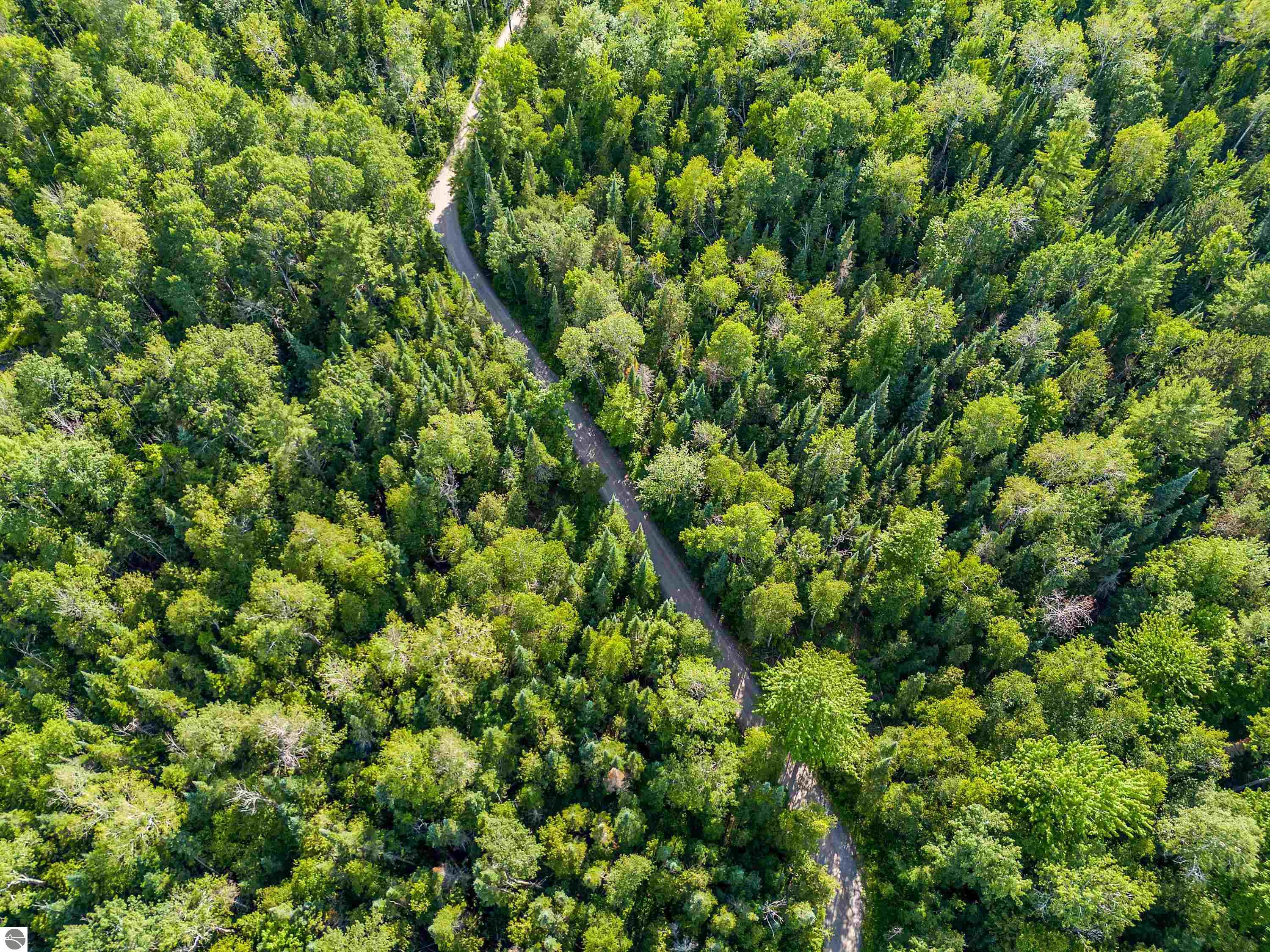 781 Dalton Shores Road