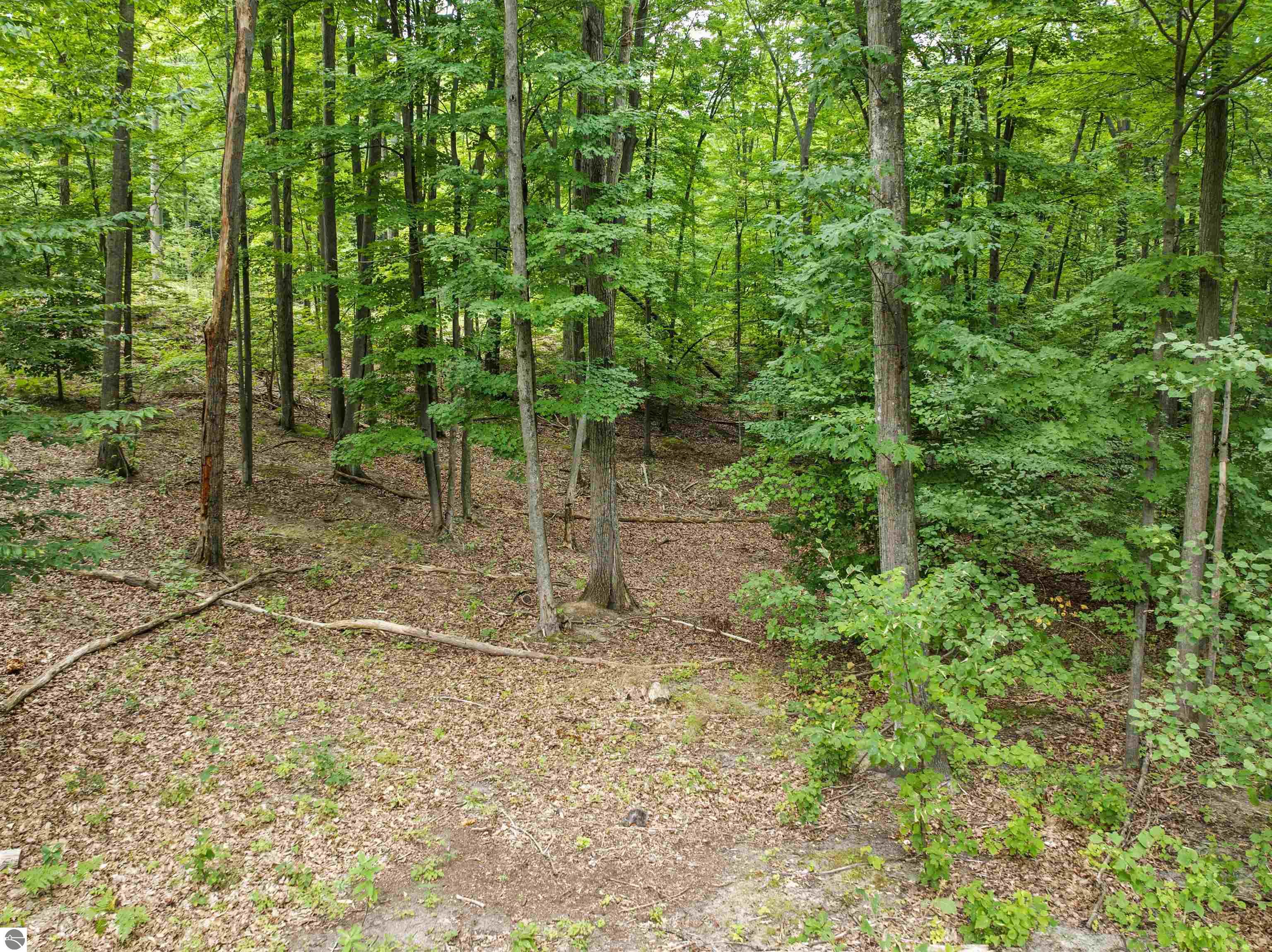 3119 Holiday Village Road