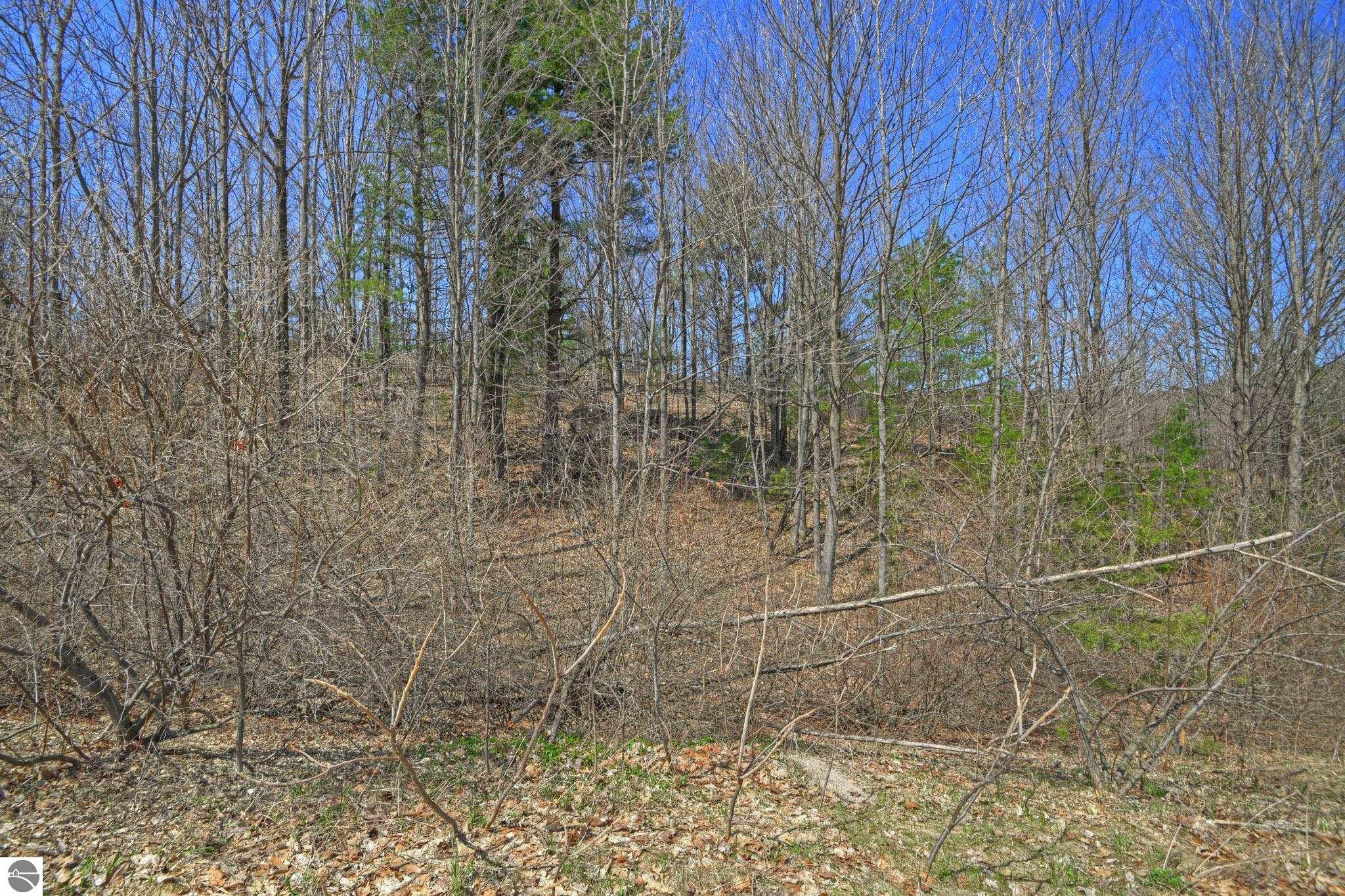 Lot 59 S Skye Hill Drive