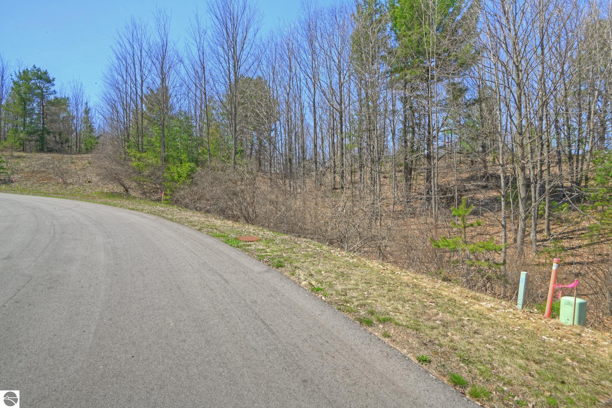 Lot 59 S Skye Hill Drive