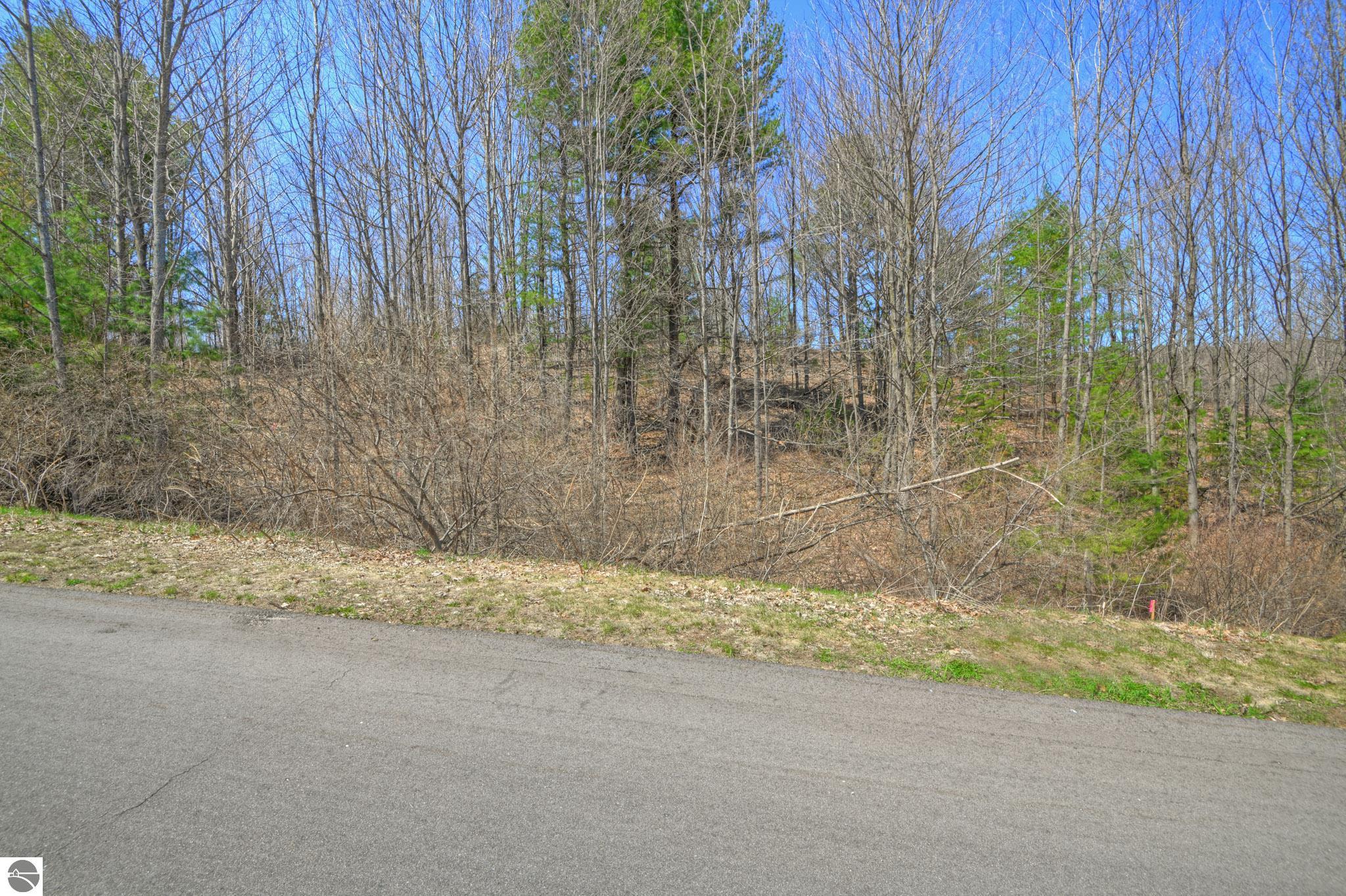 Lot 59 S Skye Hill Drive