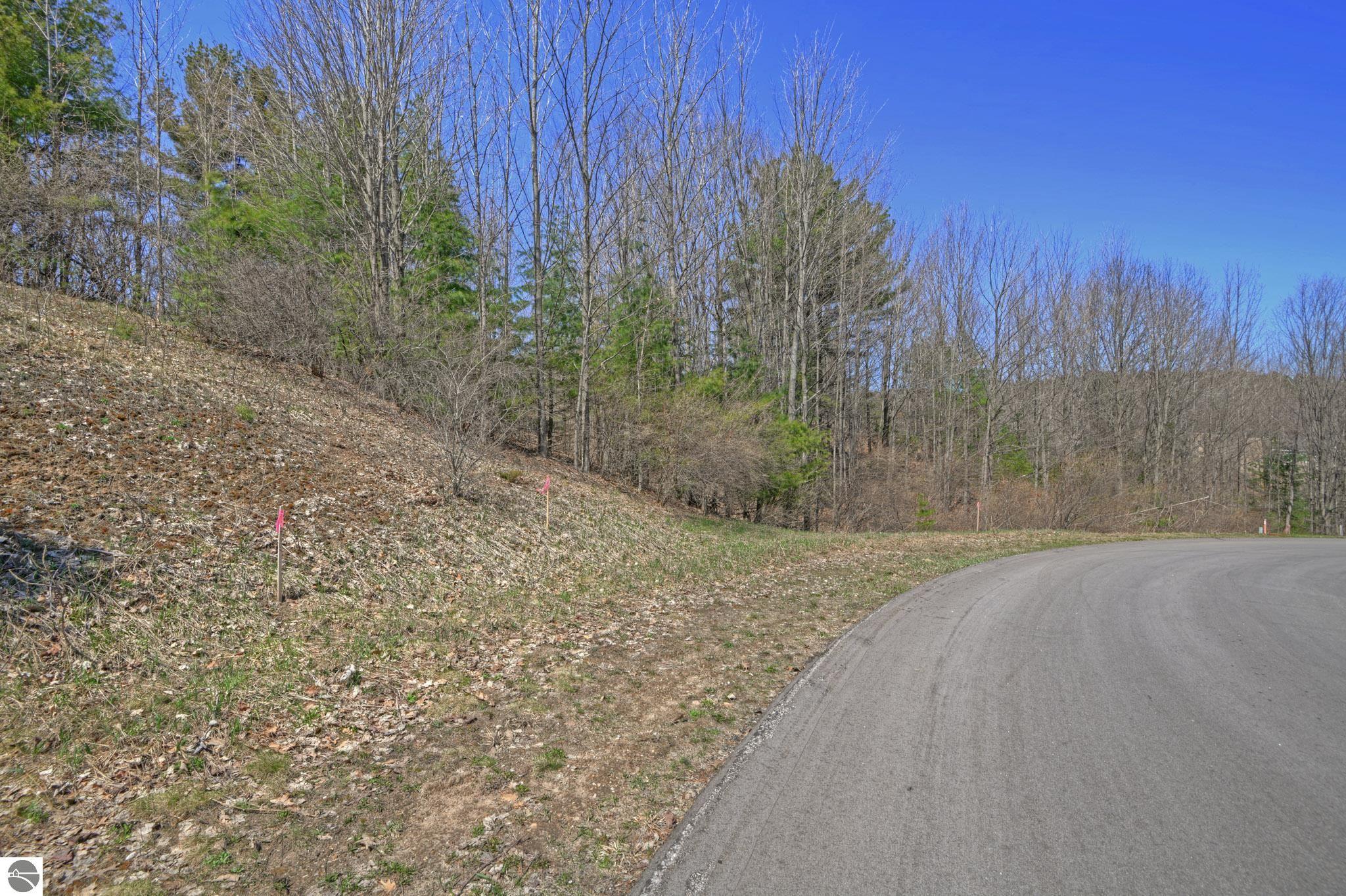 Lot 59 S Skye Hill Drive