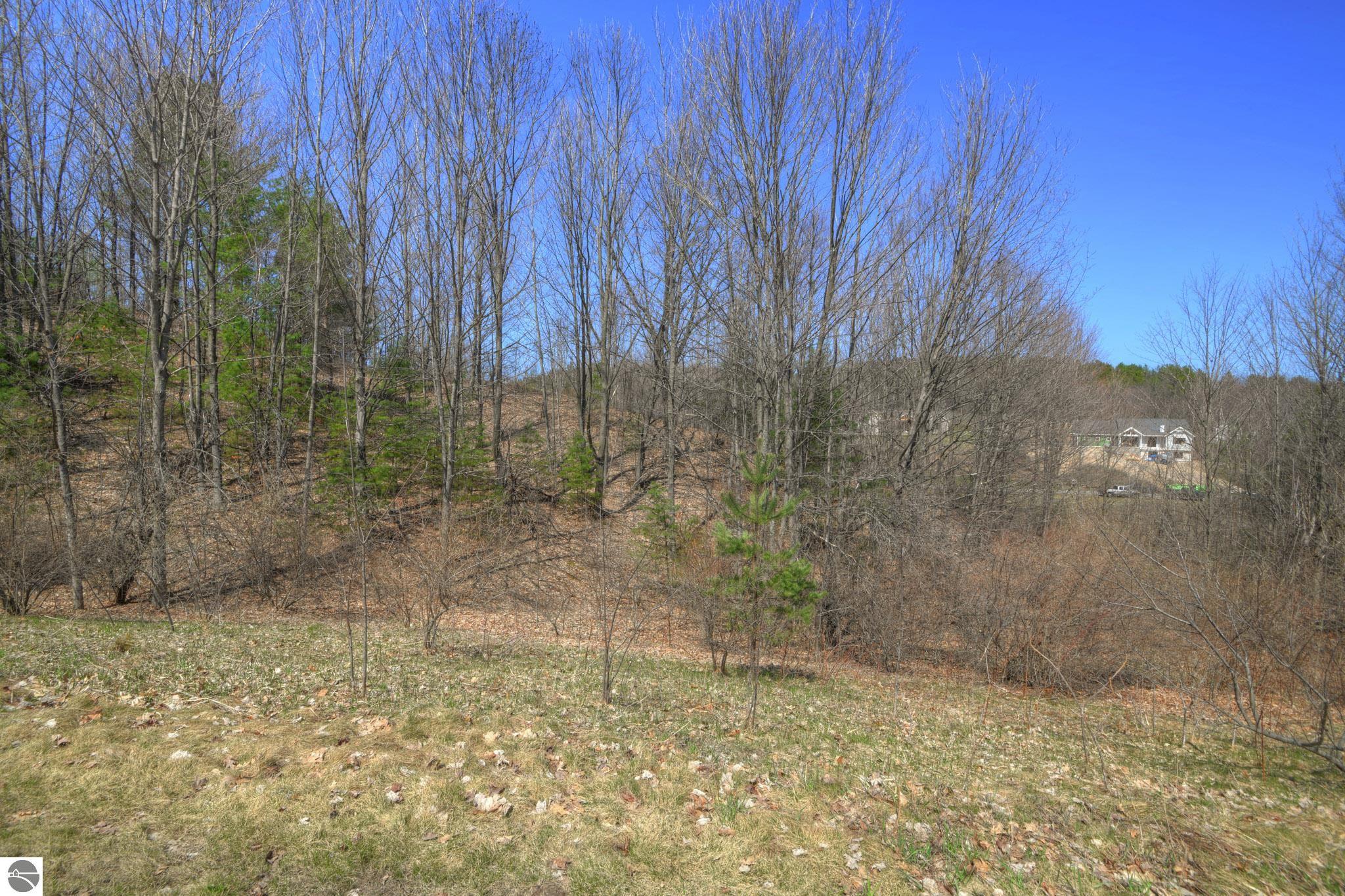 Lot 60 E Summerfield Drive