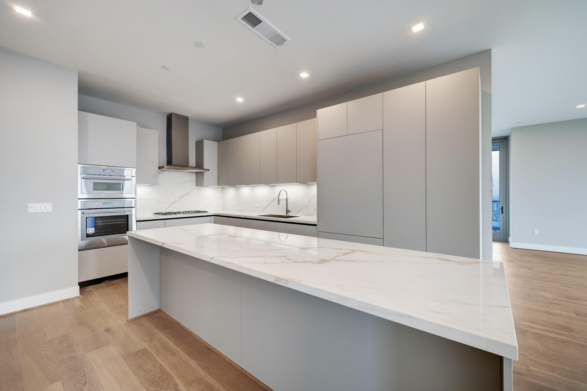 1711 Allen Parkway # 2203