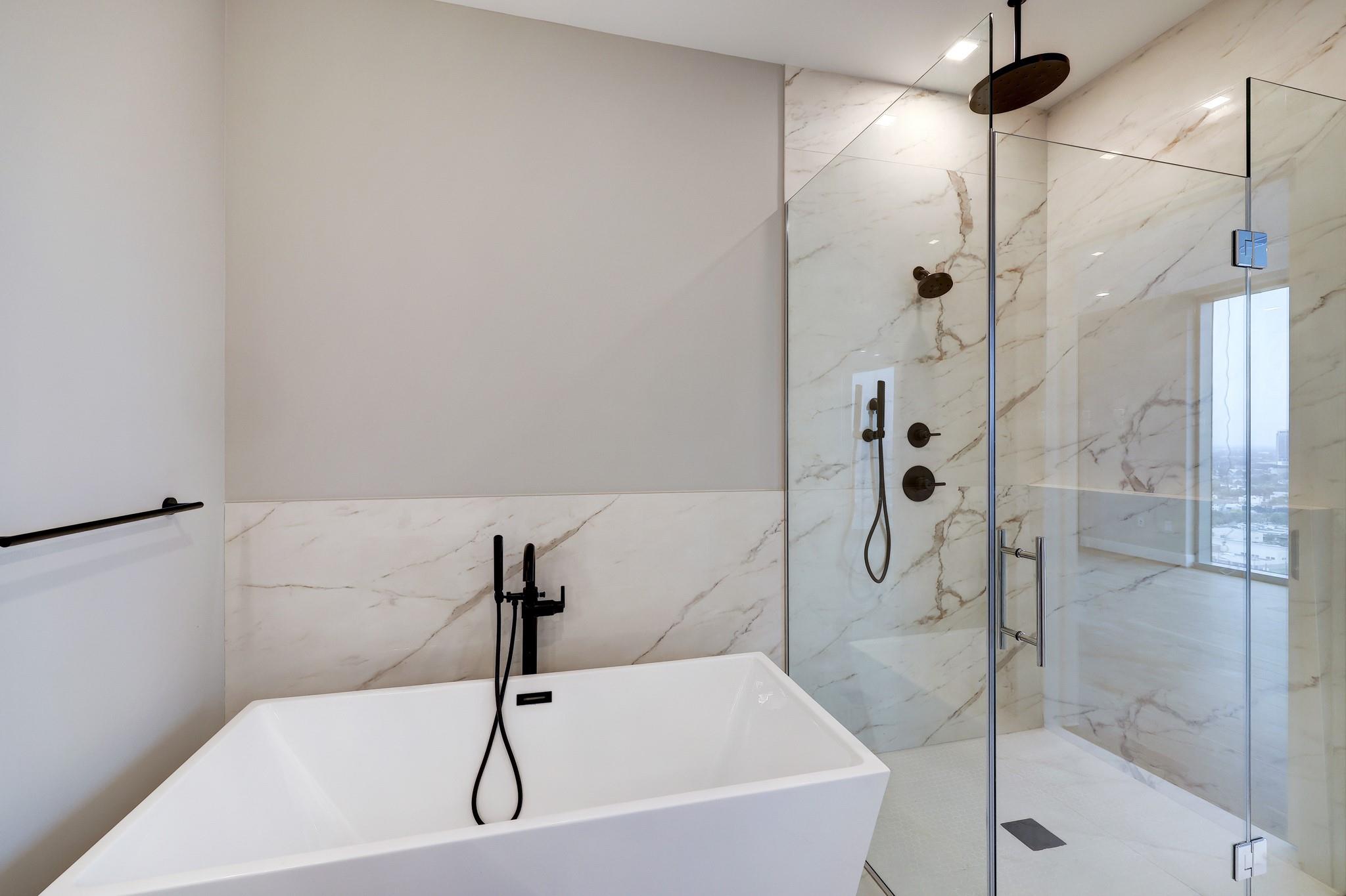 1711 Allen Parkway # 2203