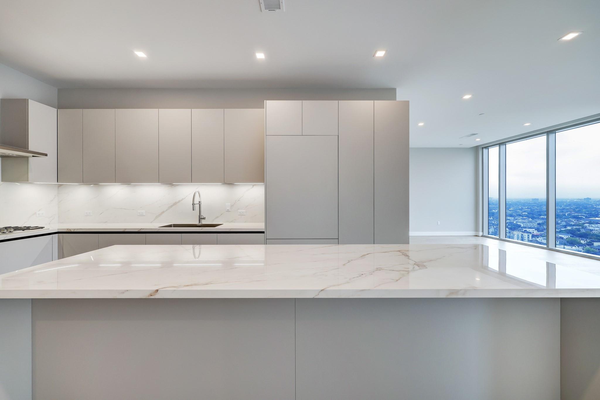 1711 Allen Parkway # 2203