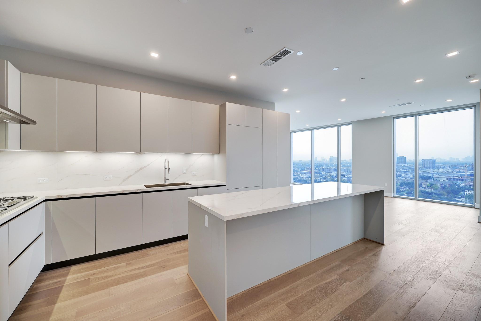 1711 Allen Parkway # 2203