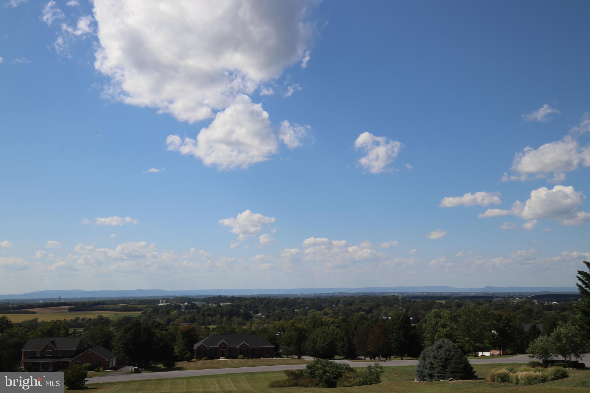 11515 ORANGE BLOSSOM COURT