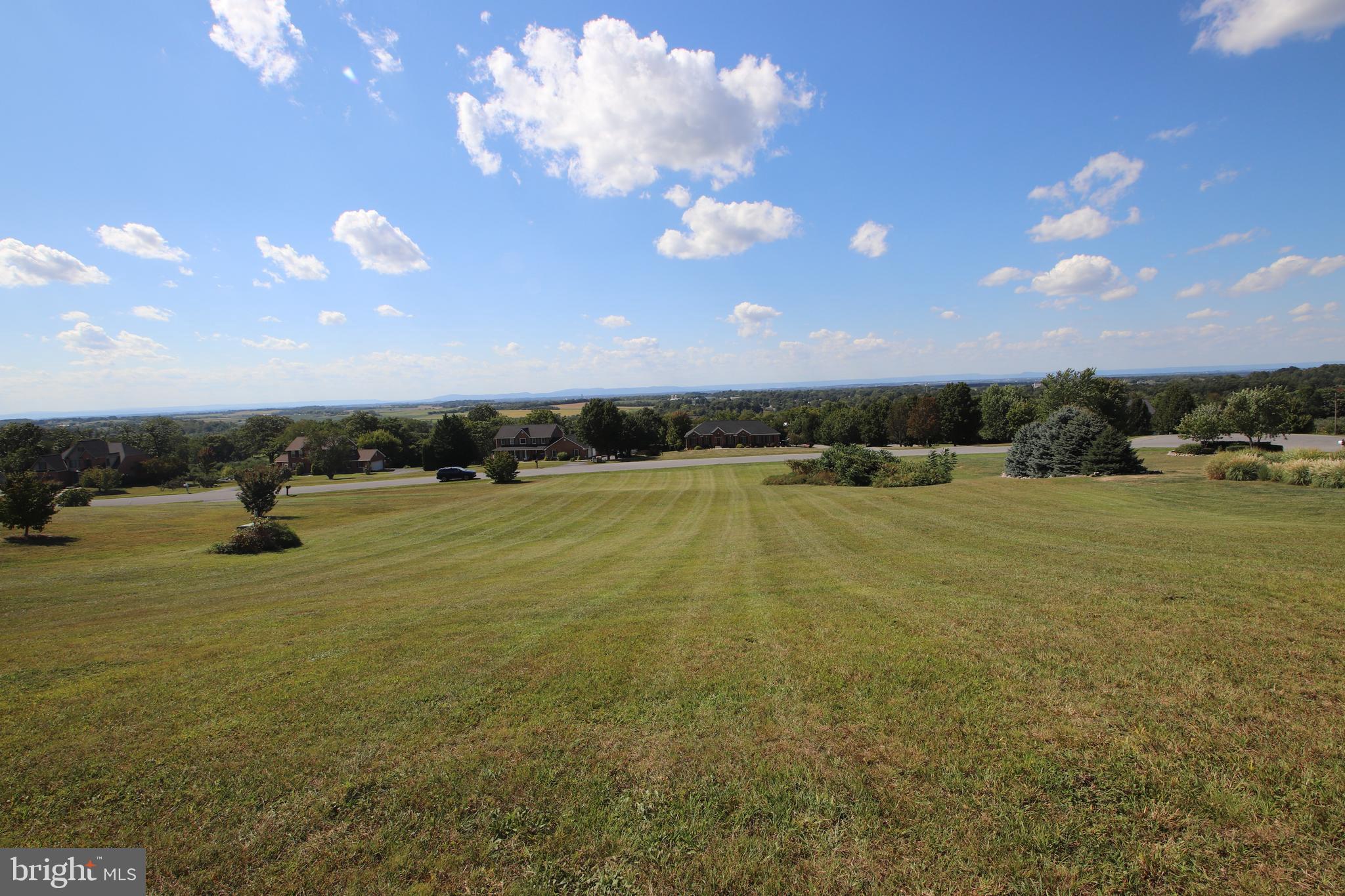 11515 ORANGE BLOSSOM COURT