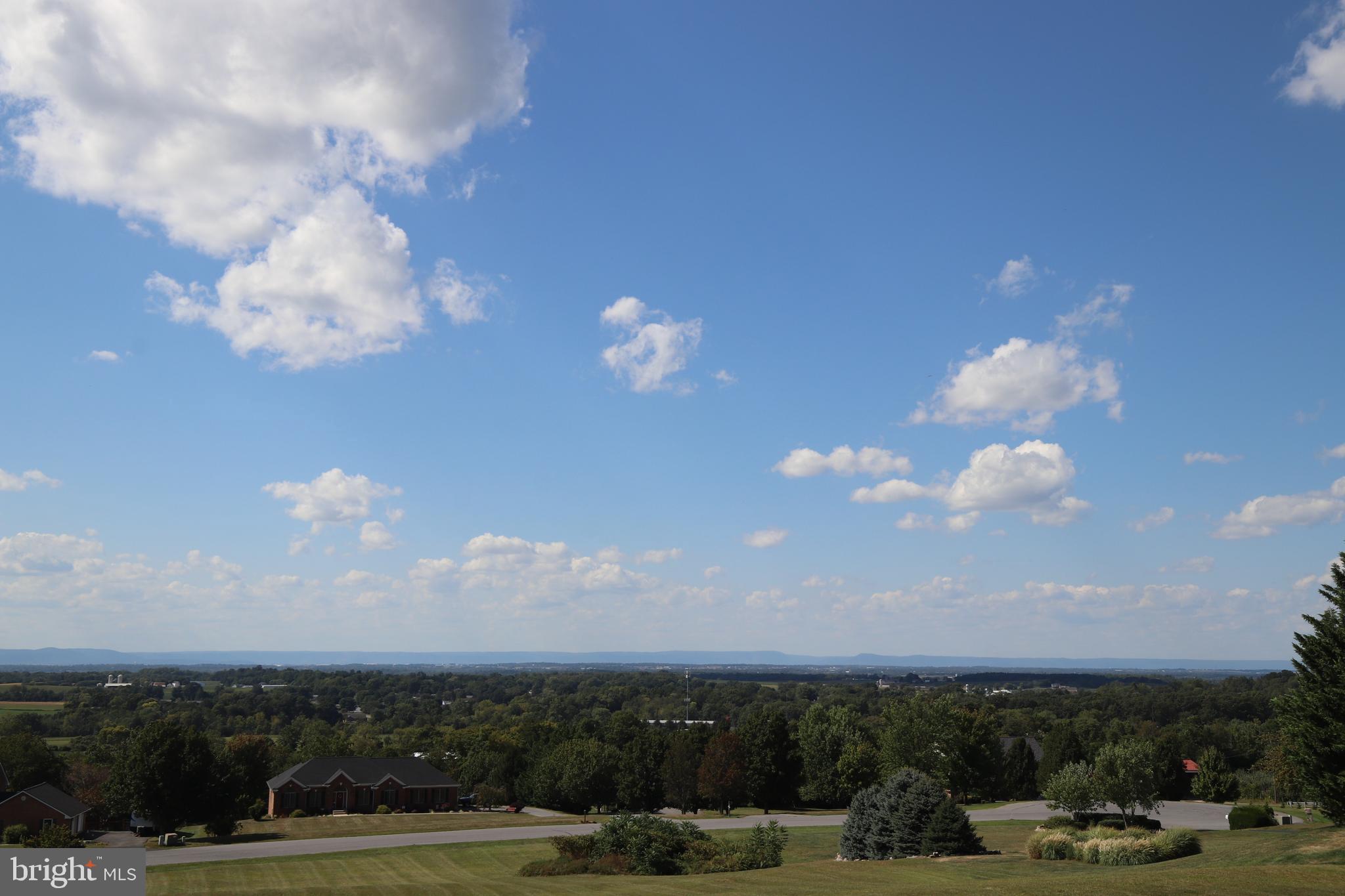 11515 ORANGE BLOSSOM COURT