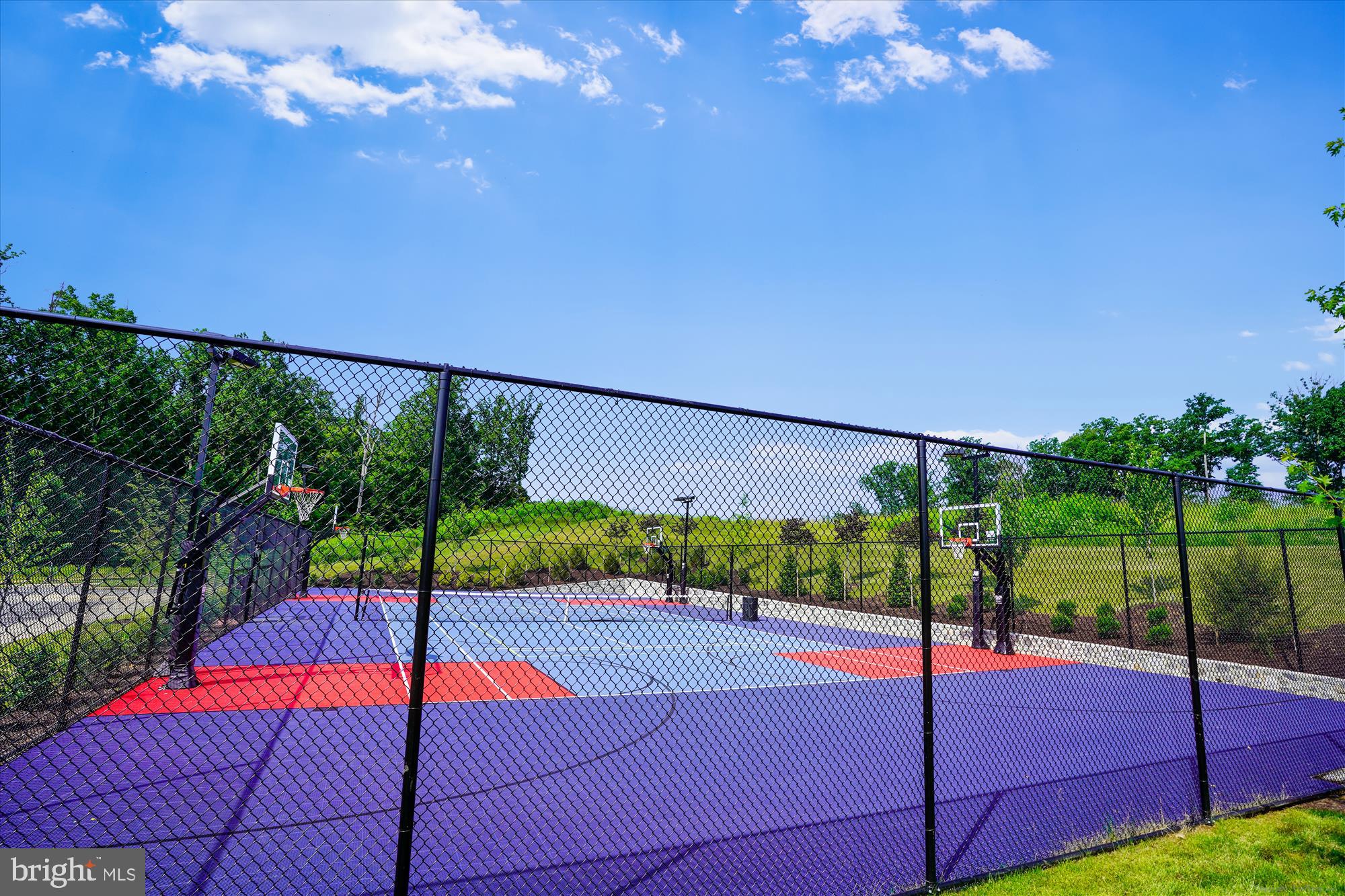 2552 PASSIONFLOWER COURT