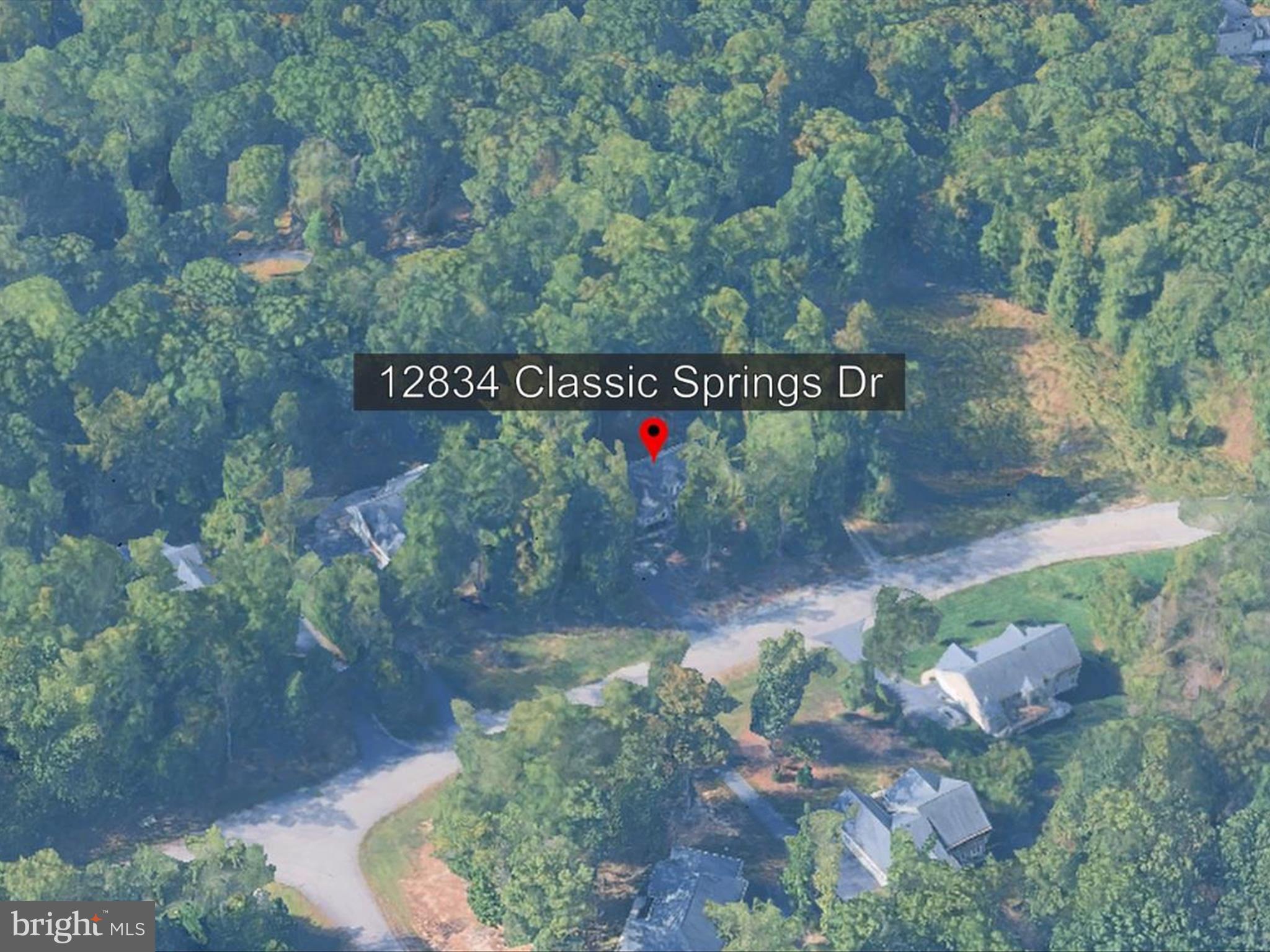 12834 CLASSIC SPRINGS DRIVE