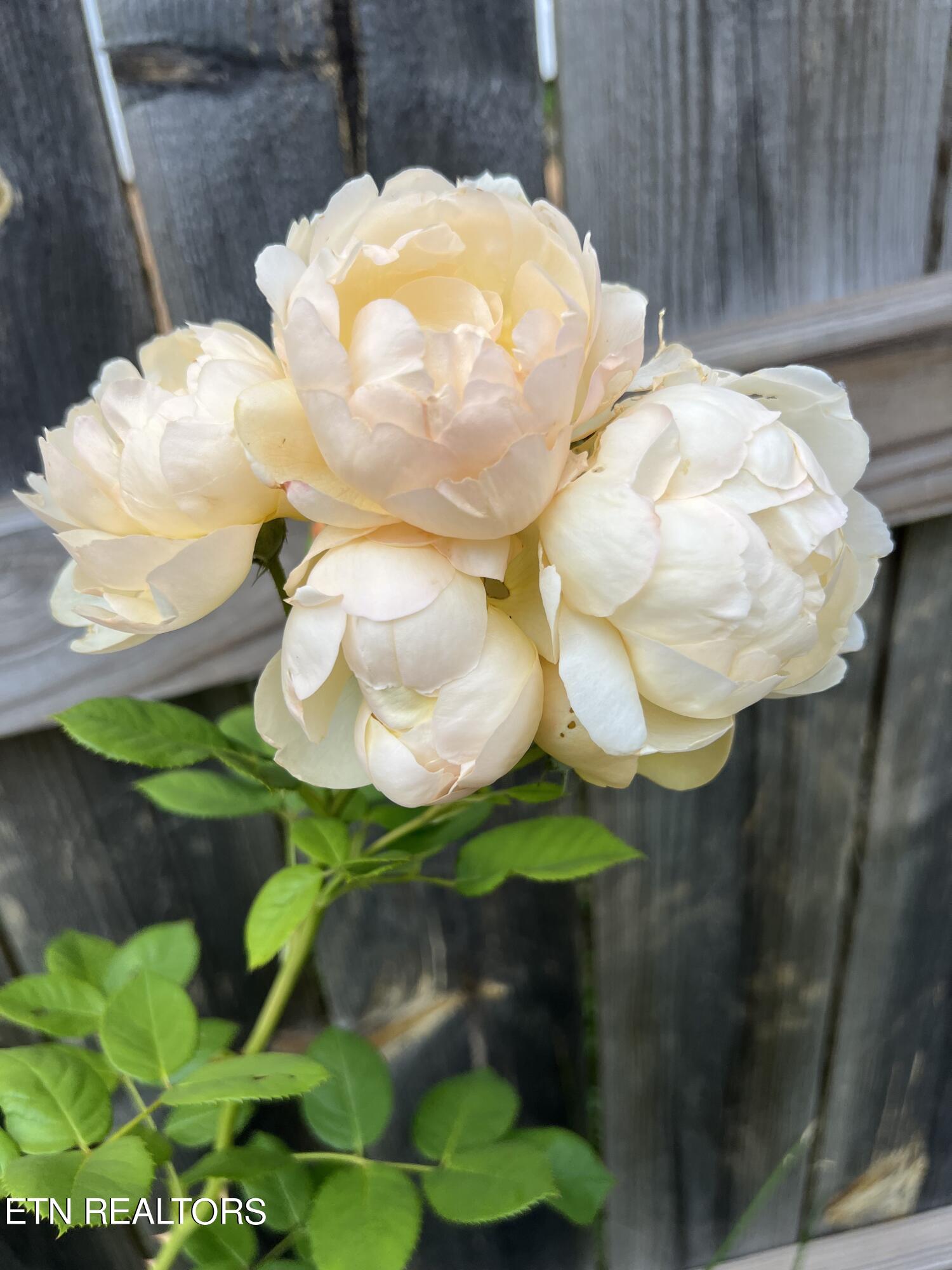 2000 Country Brook Lane