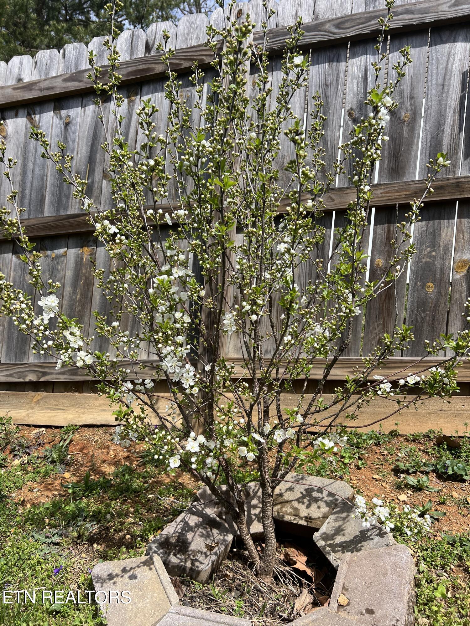 2000 Country Brook Lane