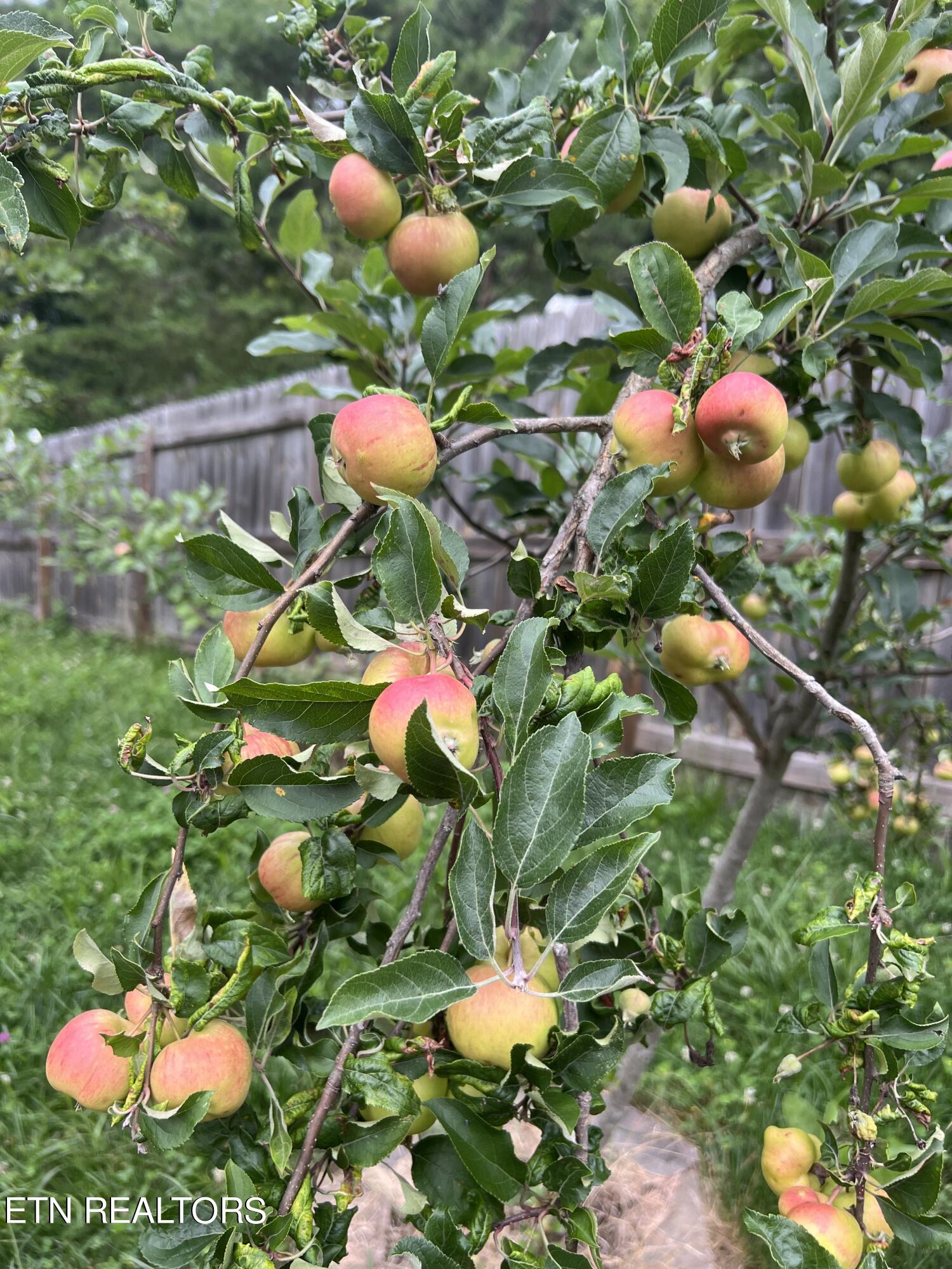 2000 Country Brook Lane