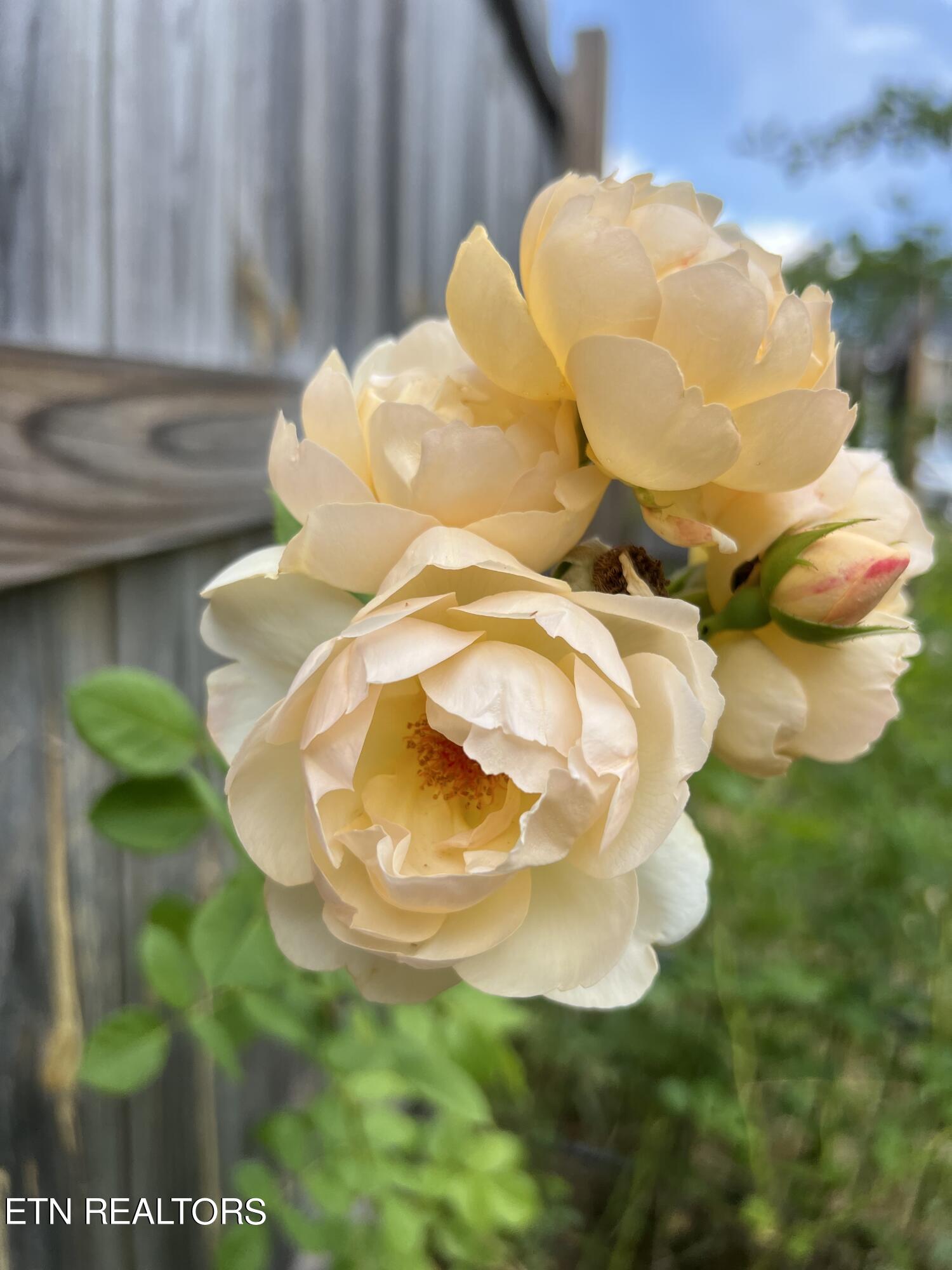 2000 Country Brook Lane