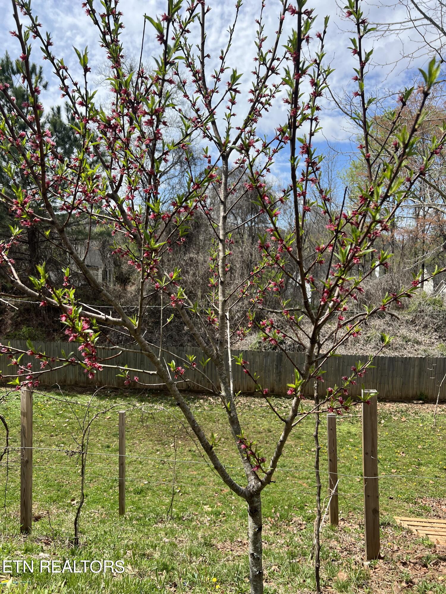 2000 Country Brook Lane