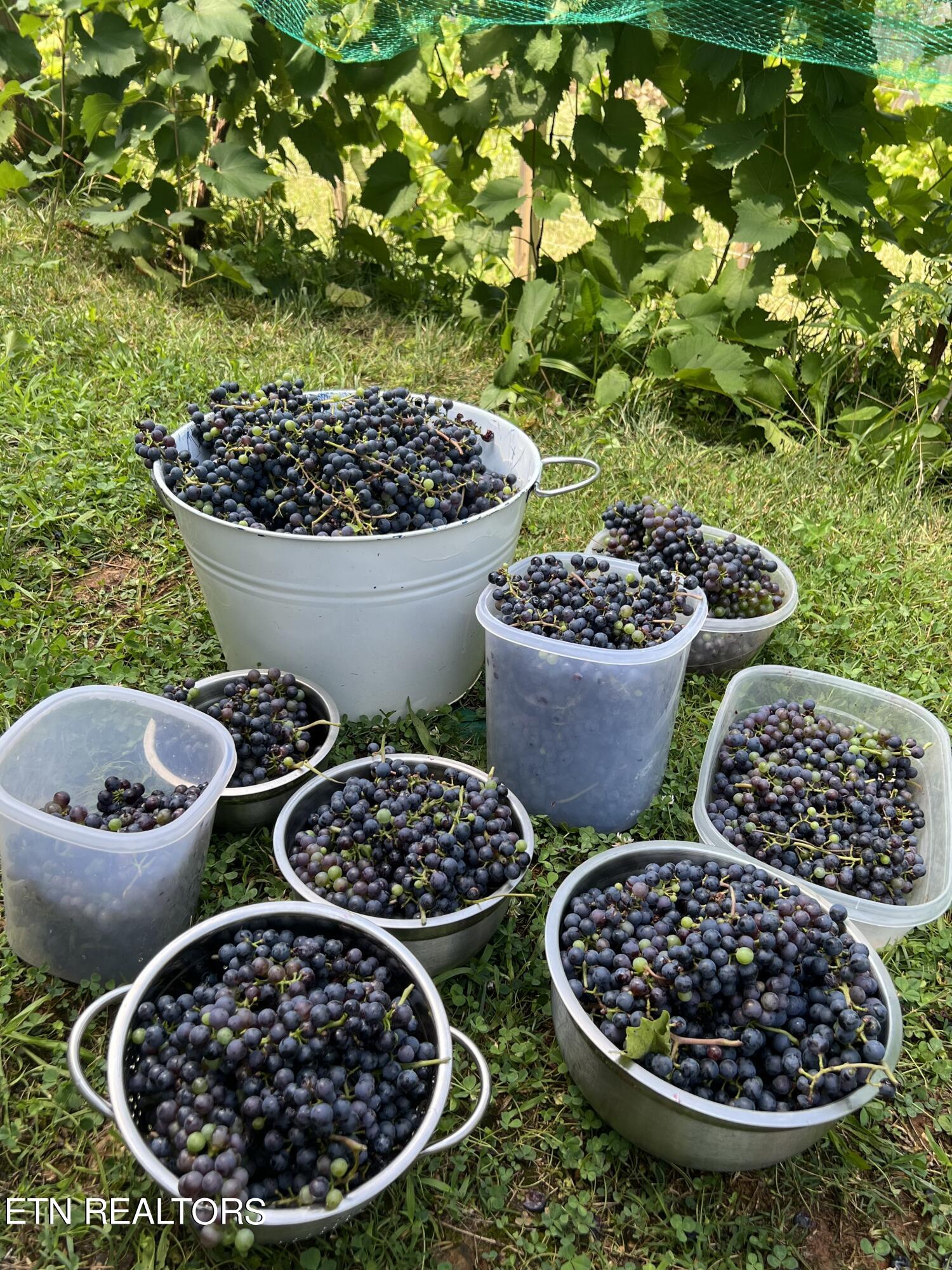 2000 Country Brook Lane