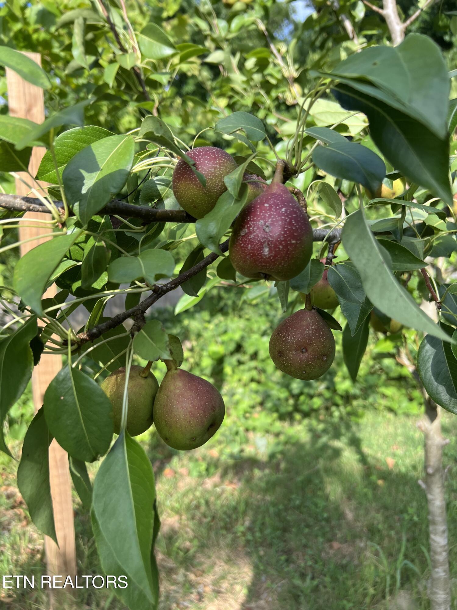 2000 Country Brook Lane