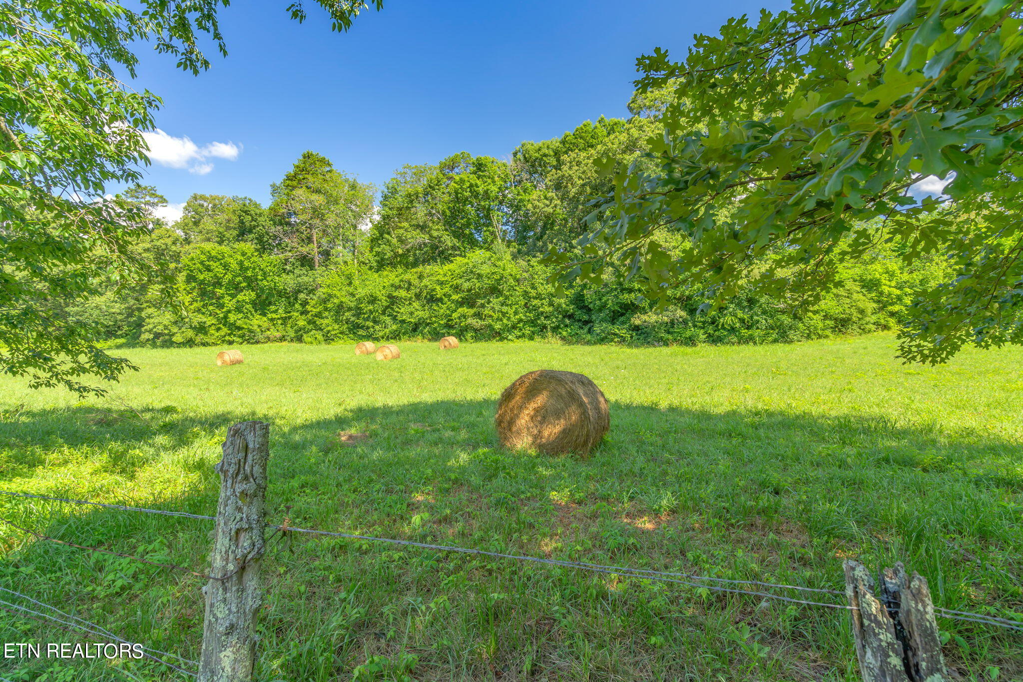 5201 Horsestall Drive