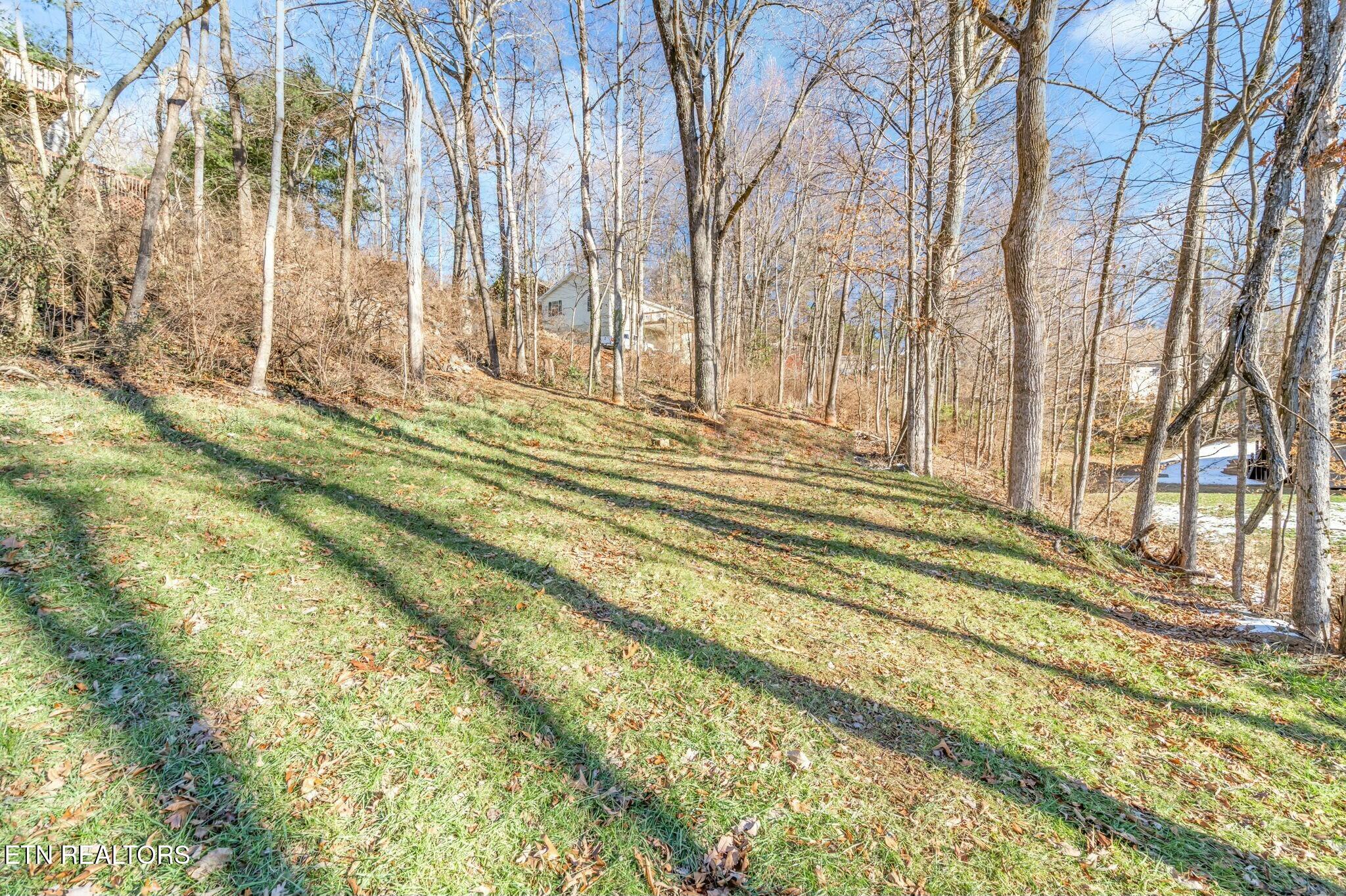 4421 Mockingbird Lane