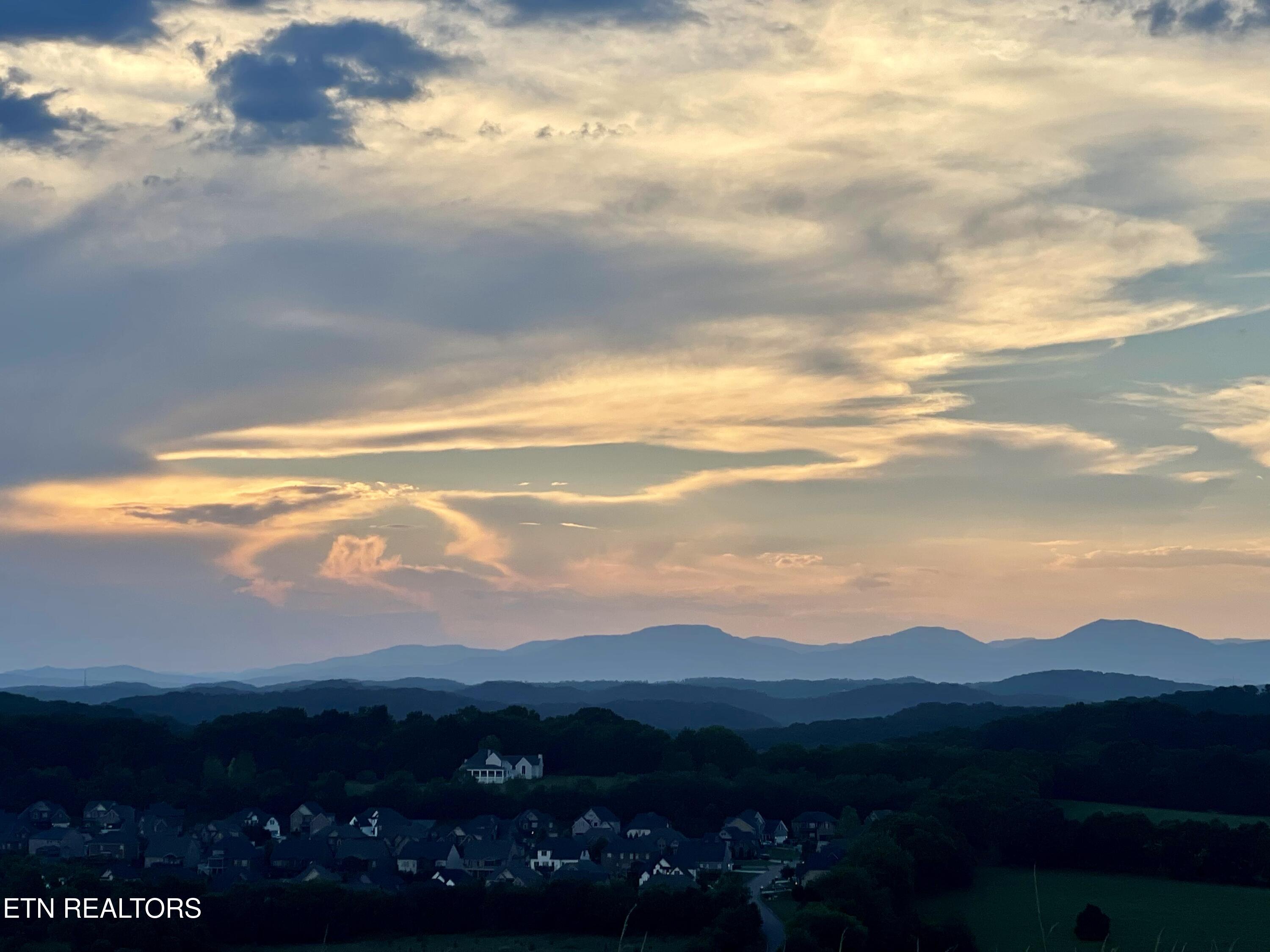 11620 Boston Ivy Lane