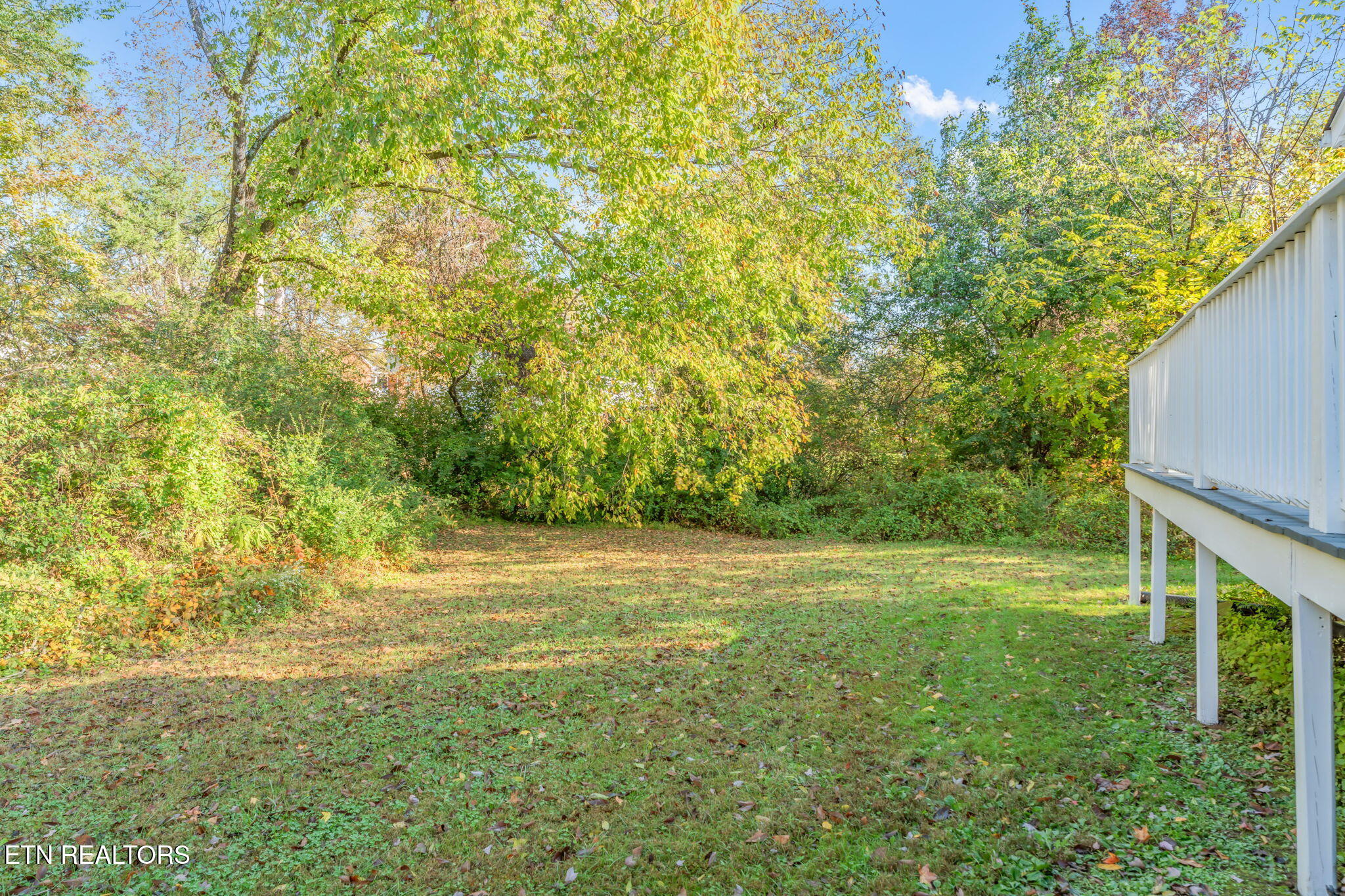 1728 Delmonte Way, Knoxville