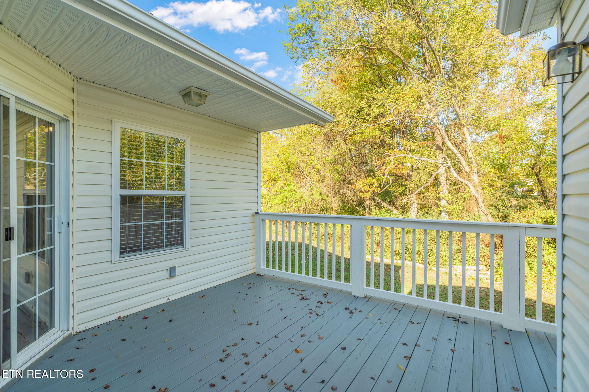 1728 Delmonte Way, Knoxville